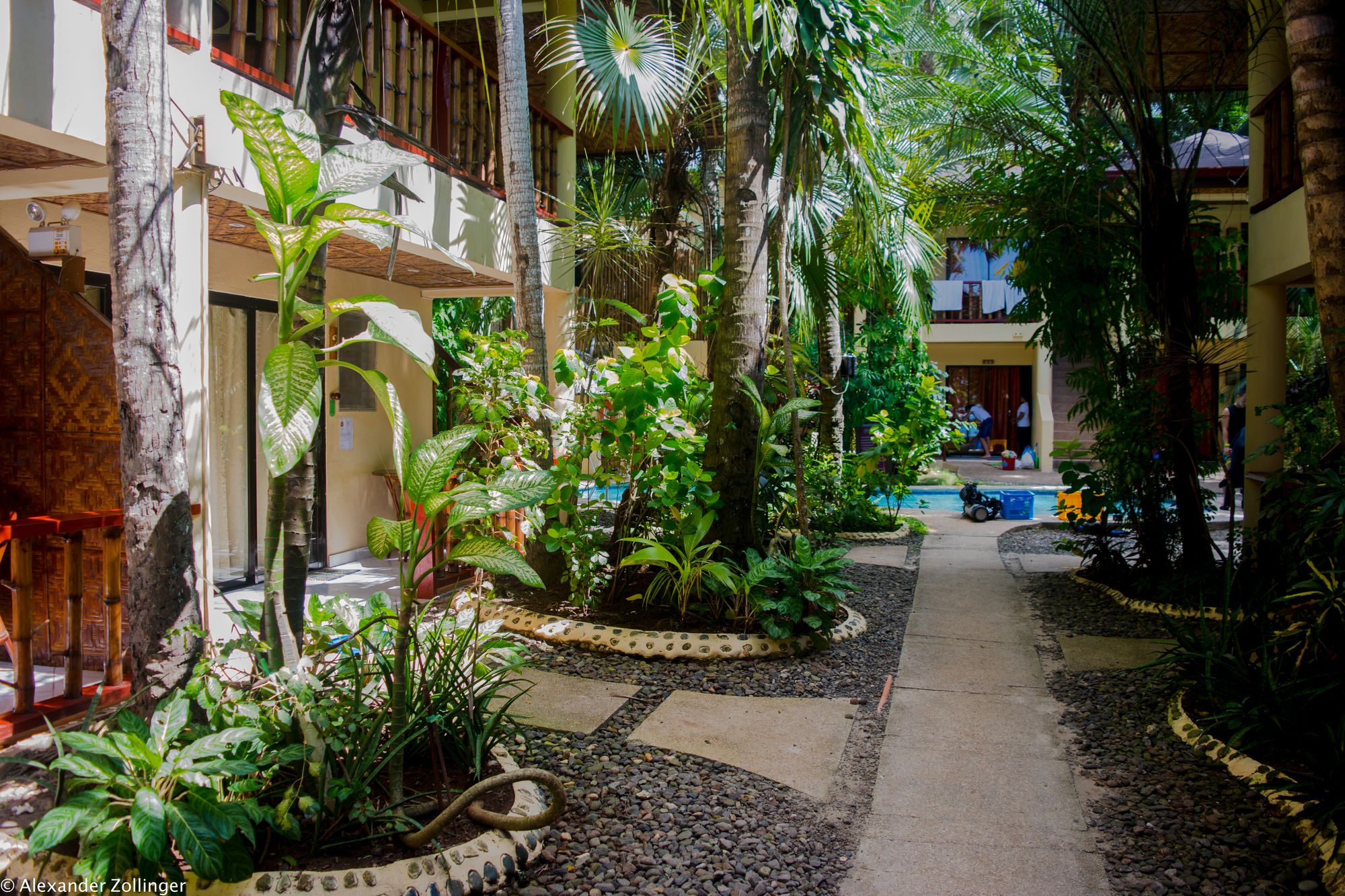 Alona Vida Beach Resort