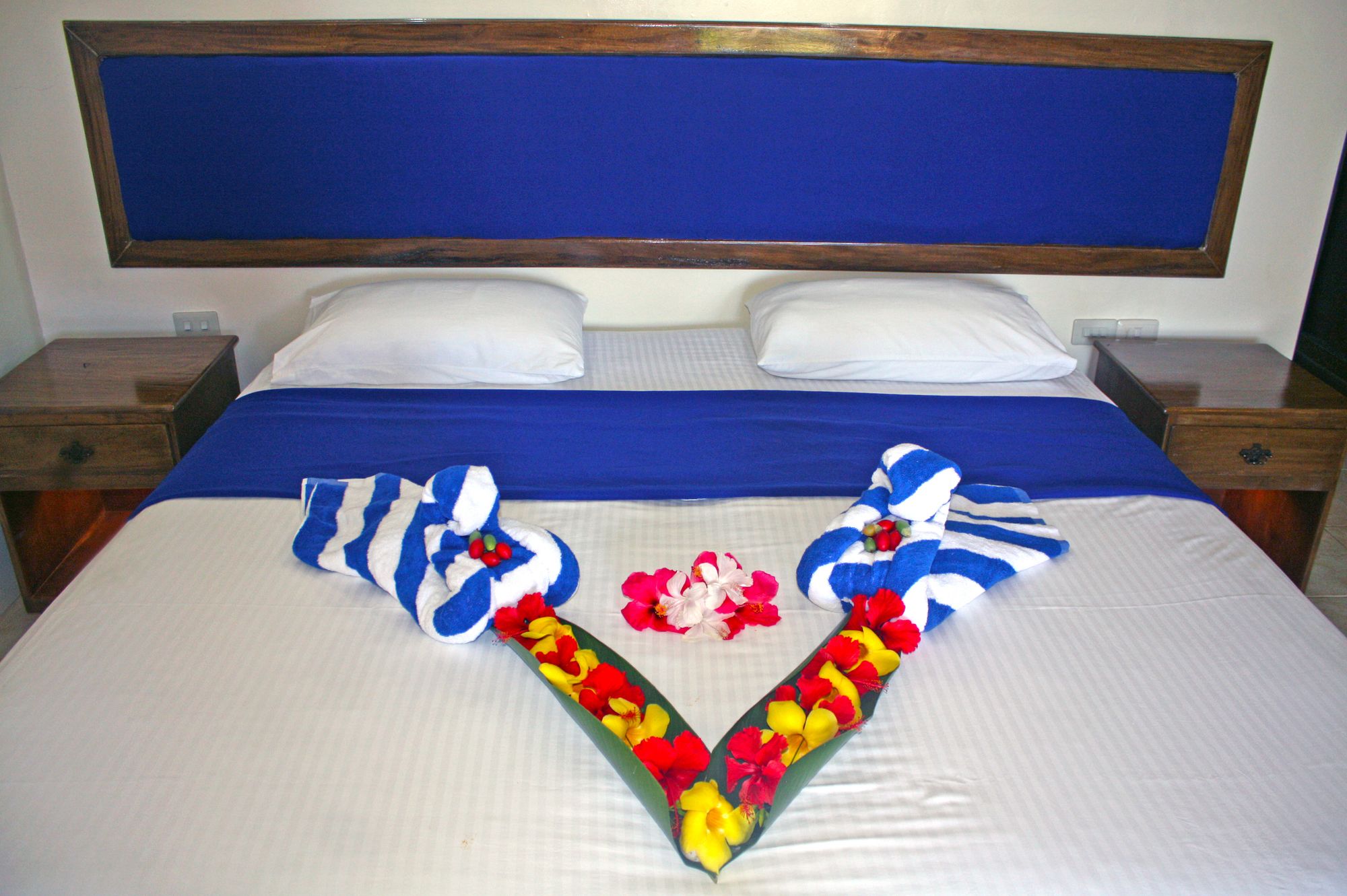 Blue Star Dive & Resort