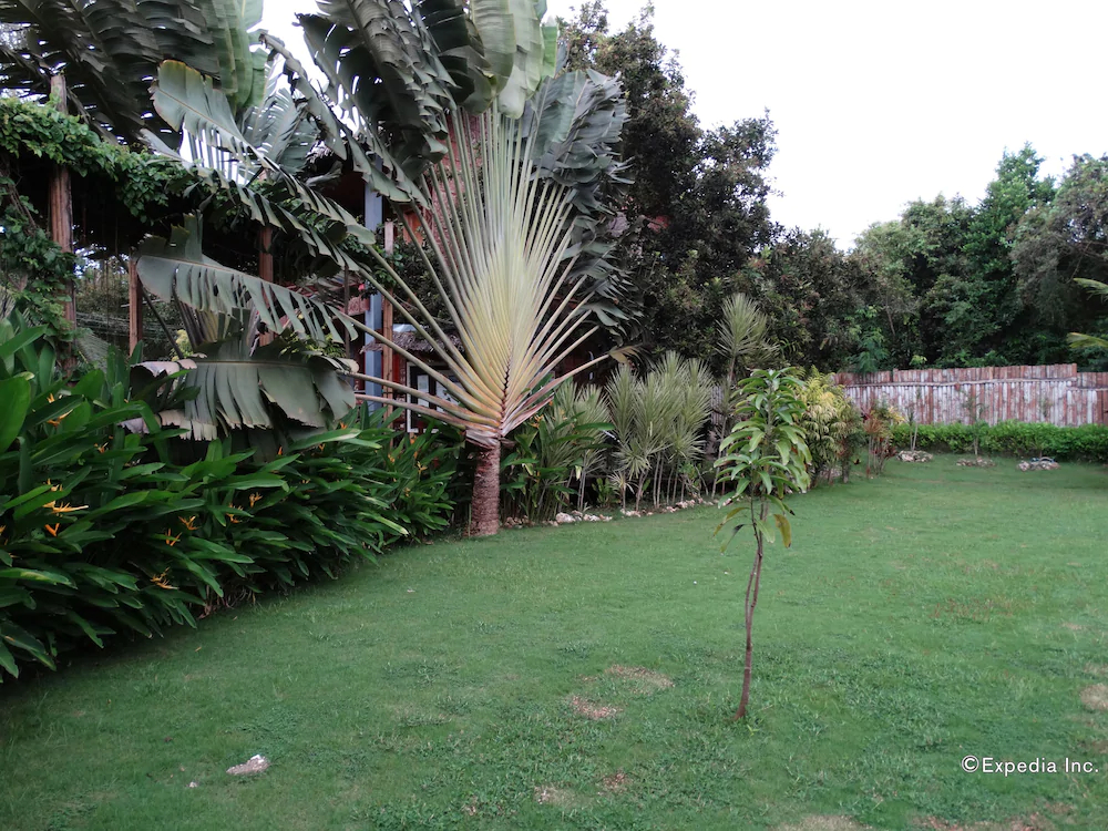 Chill-out Guest House
