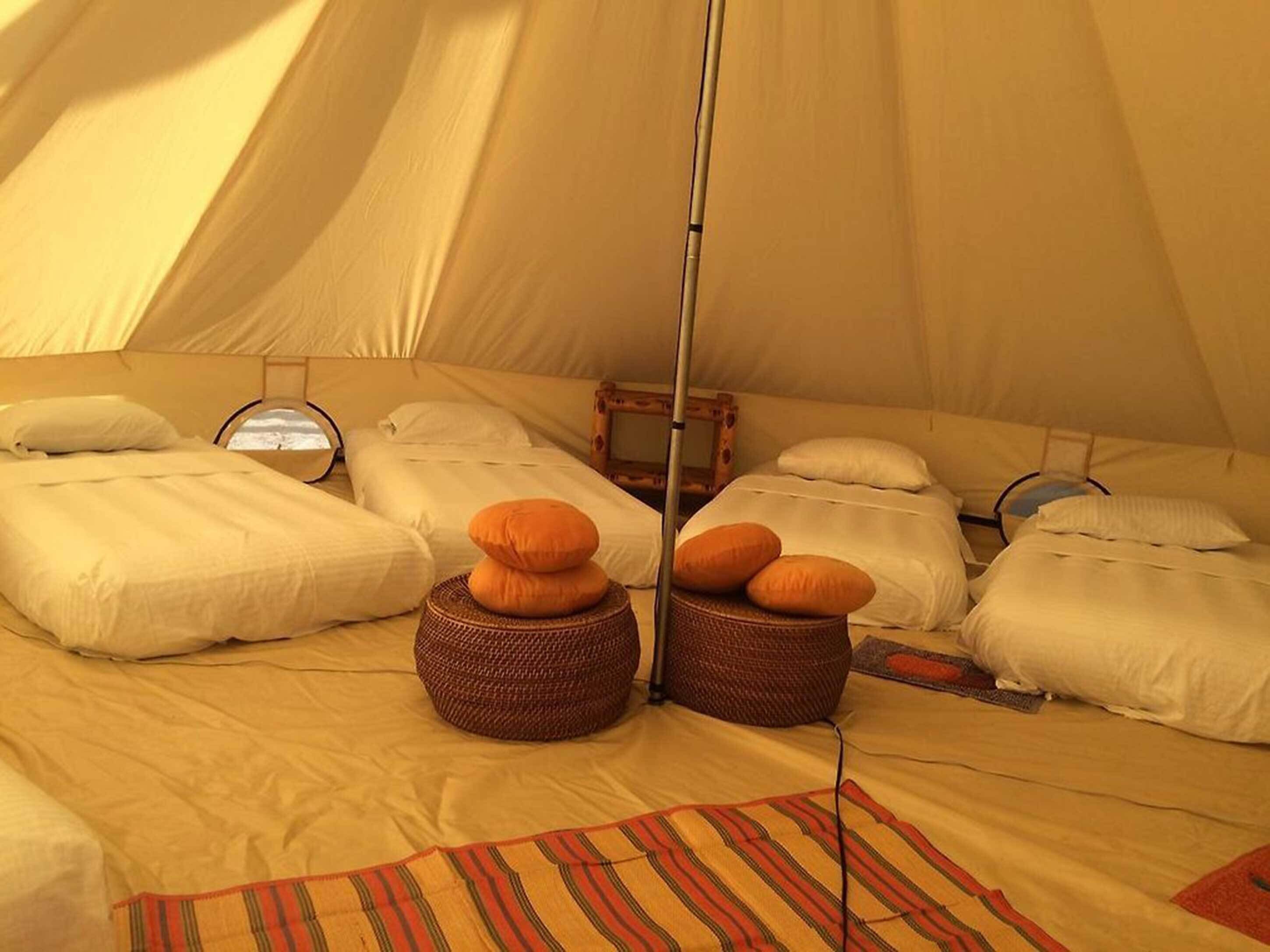 Eco Glamping Treehouses