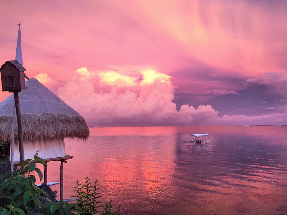 Birdland Beach Club