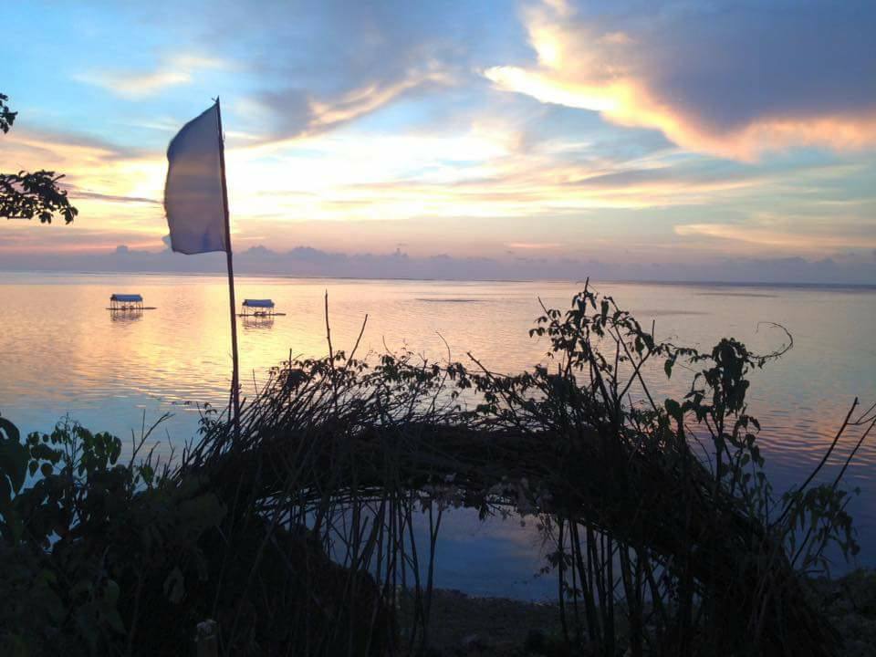 Birdland Beach Club