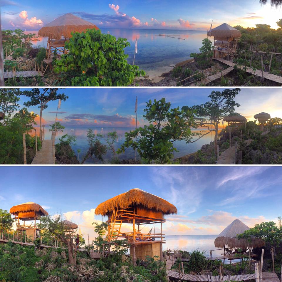 Birdland Beach Club