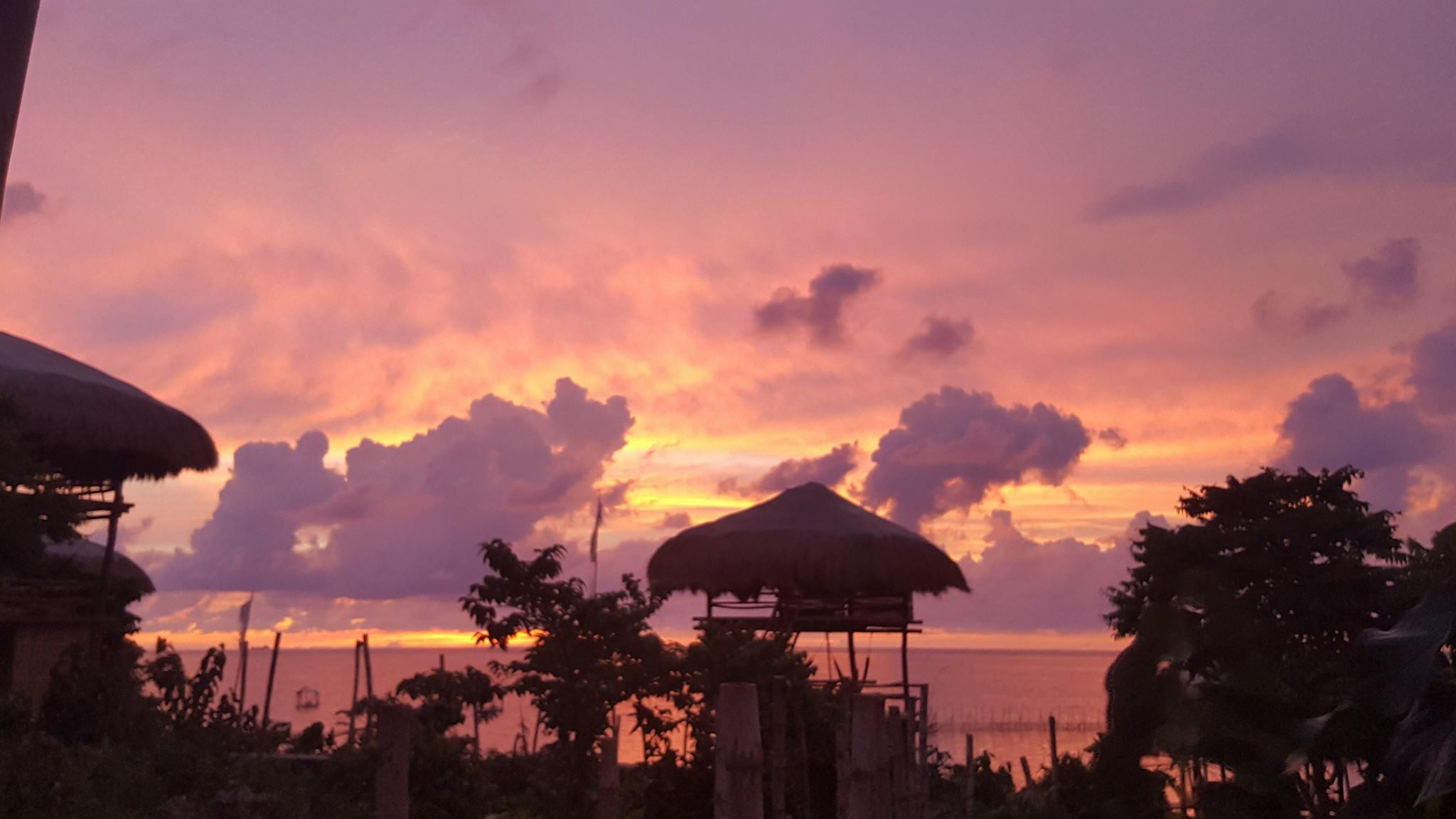 Birdland Beach Club