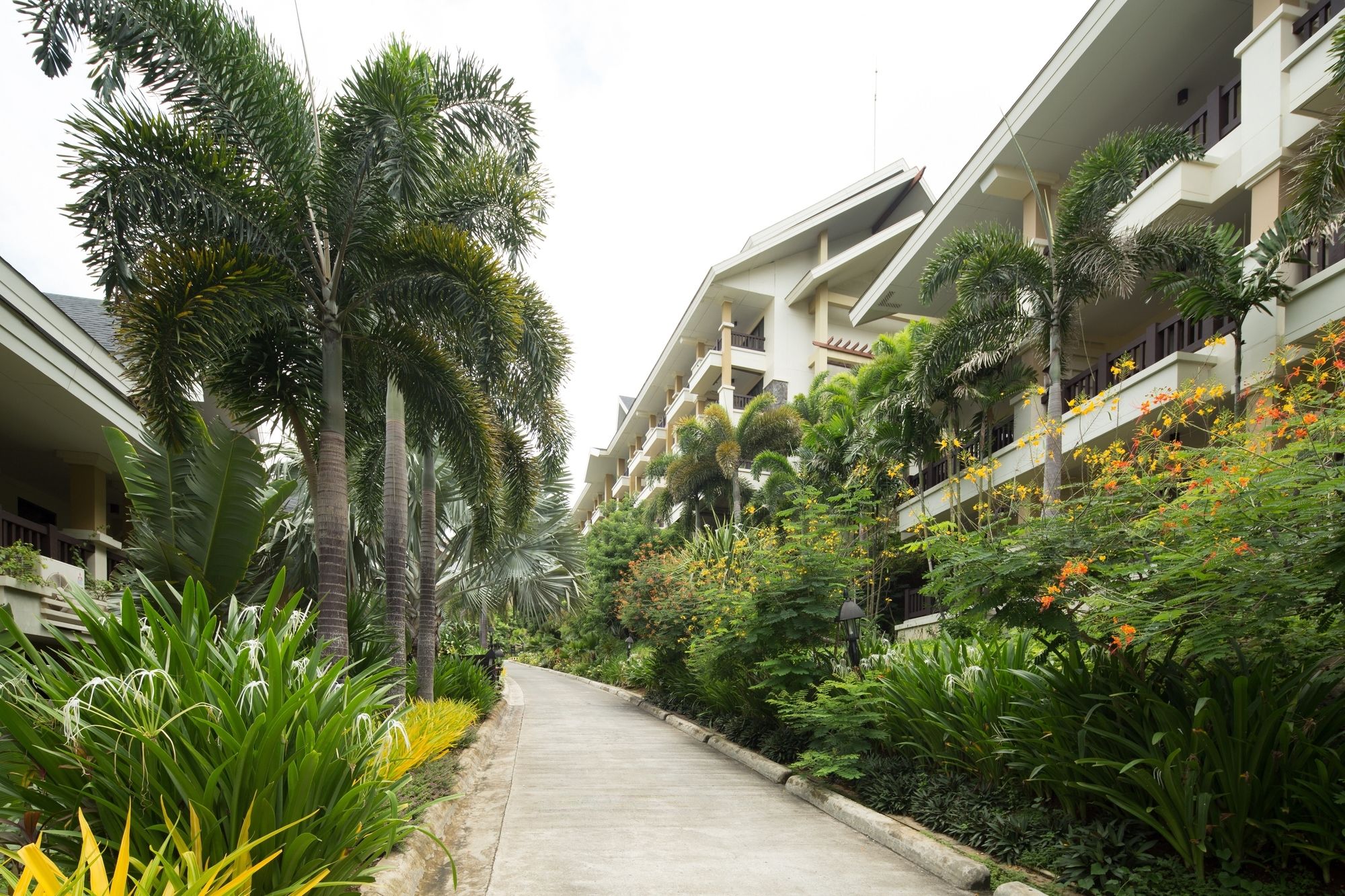 Alta Vista de Boracay