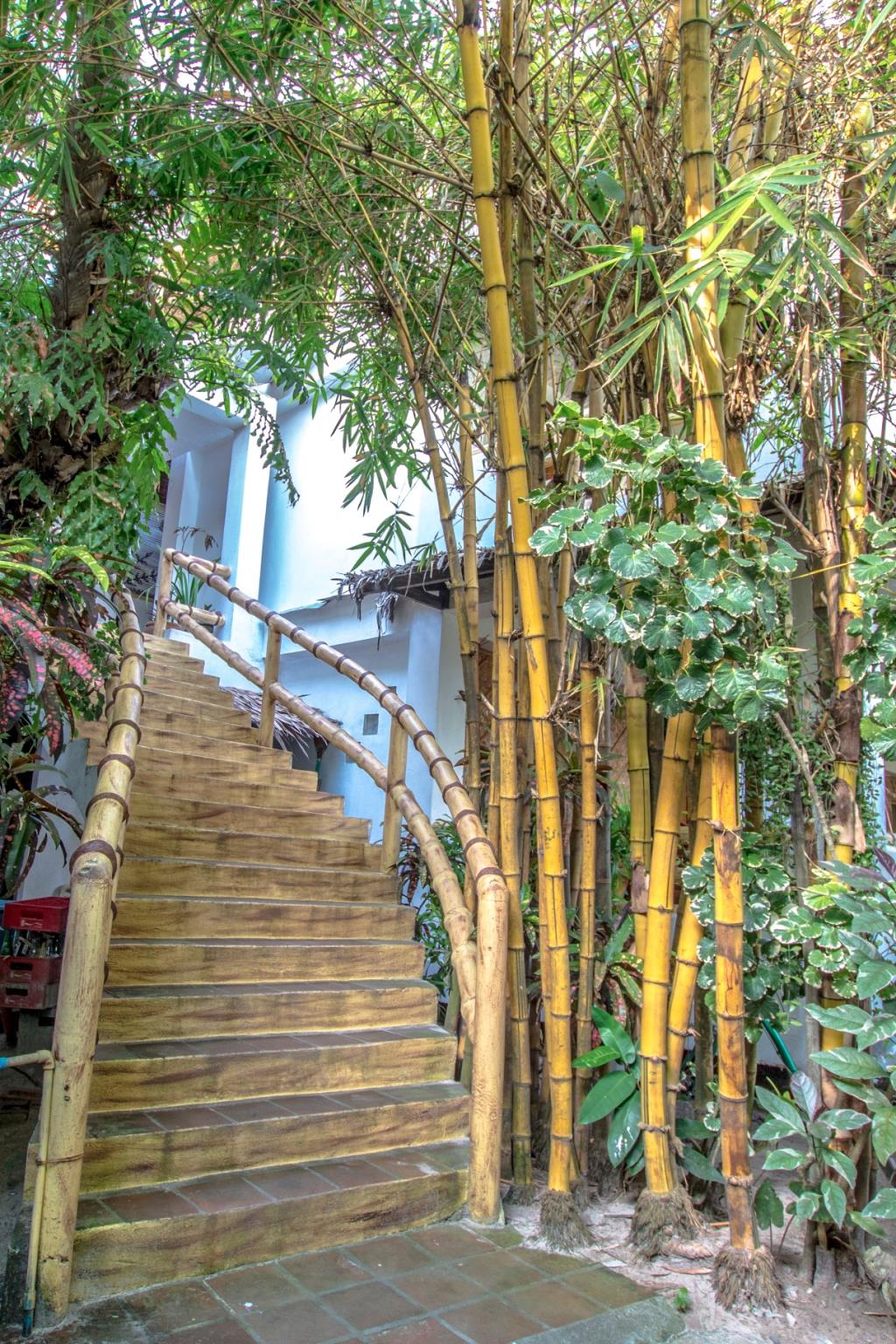 Bamboo Bungalows