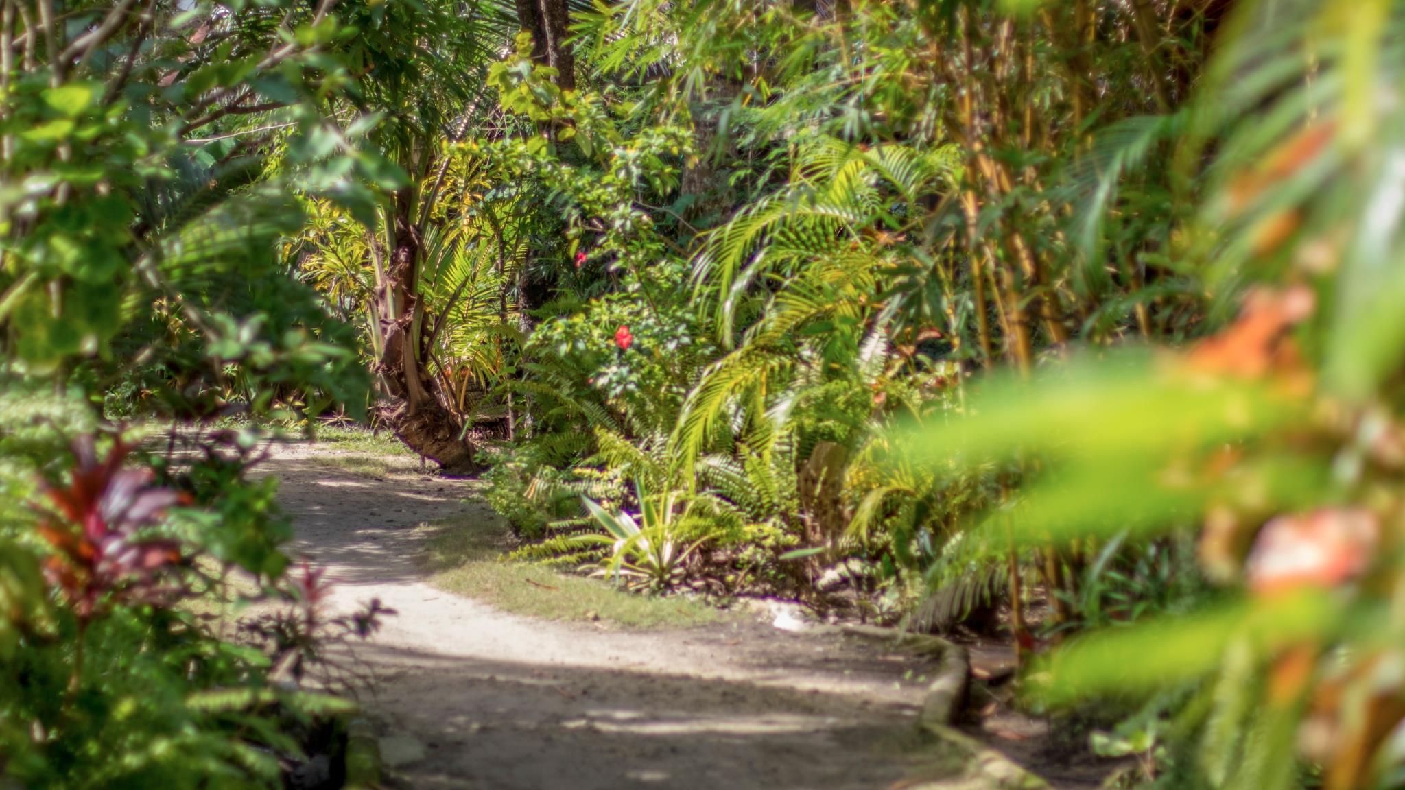 Bamboo Bungalows