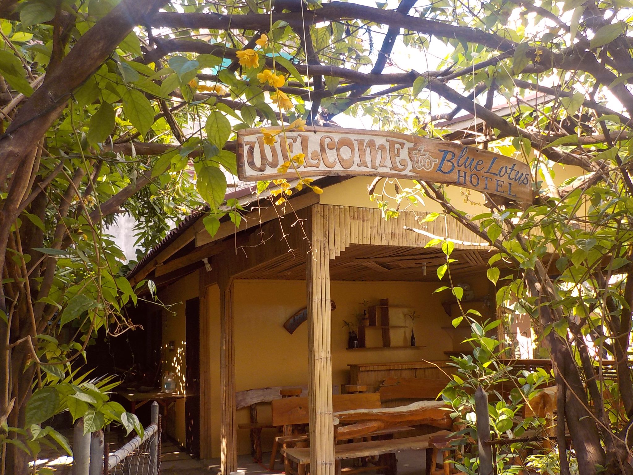 Blue Lotus Hotel