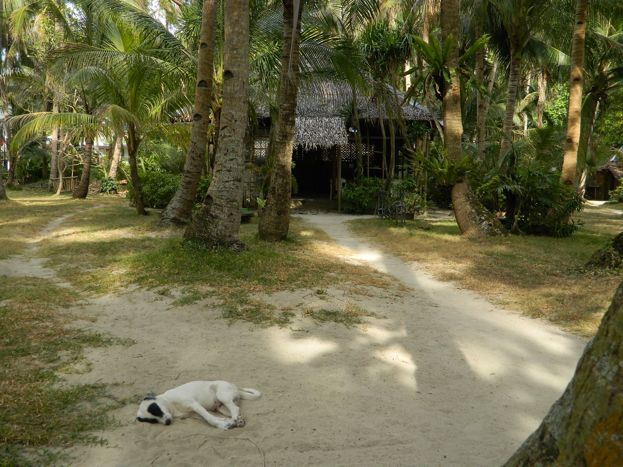 Boracay Huts