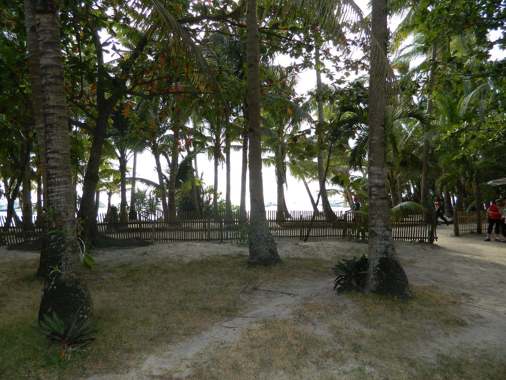 Boracay Huts