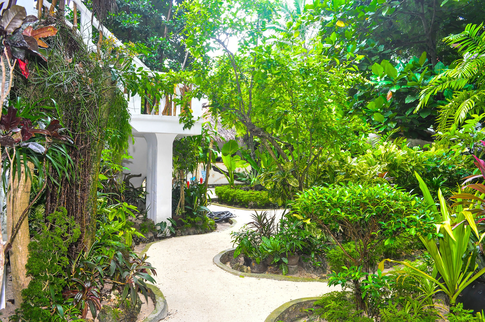 Cocoloco Boracay Beach Resort