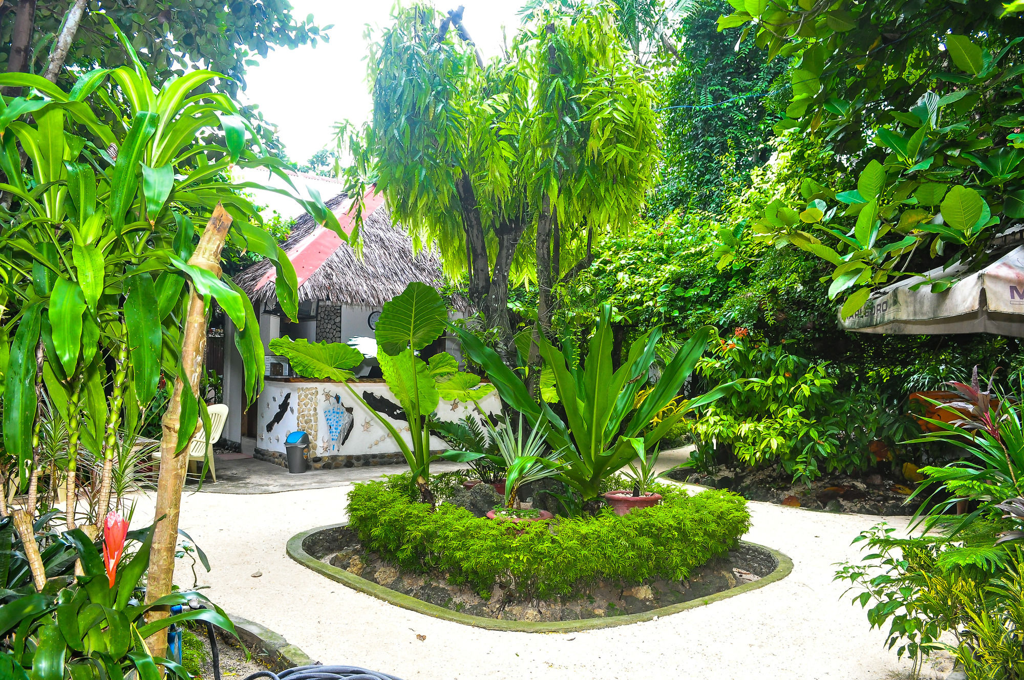 Cocoloco Boracay Beach Resort