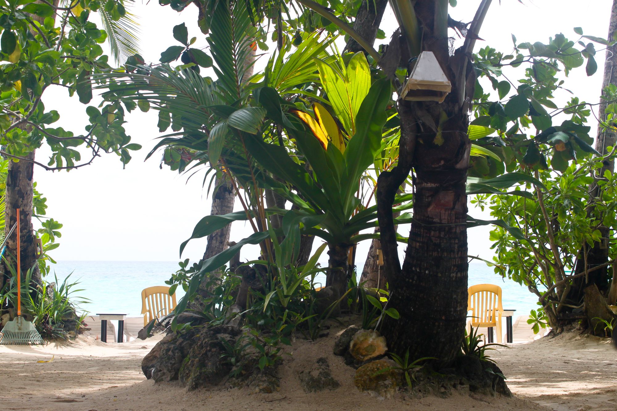 Cocoloco Boracay Beach Resort