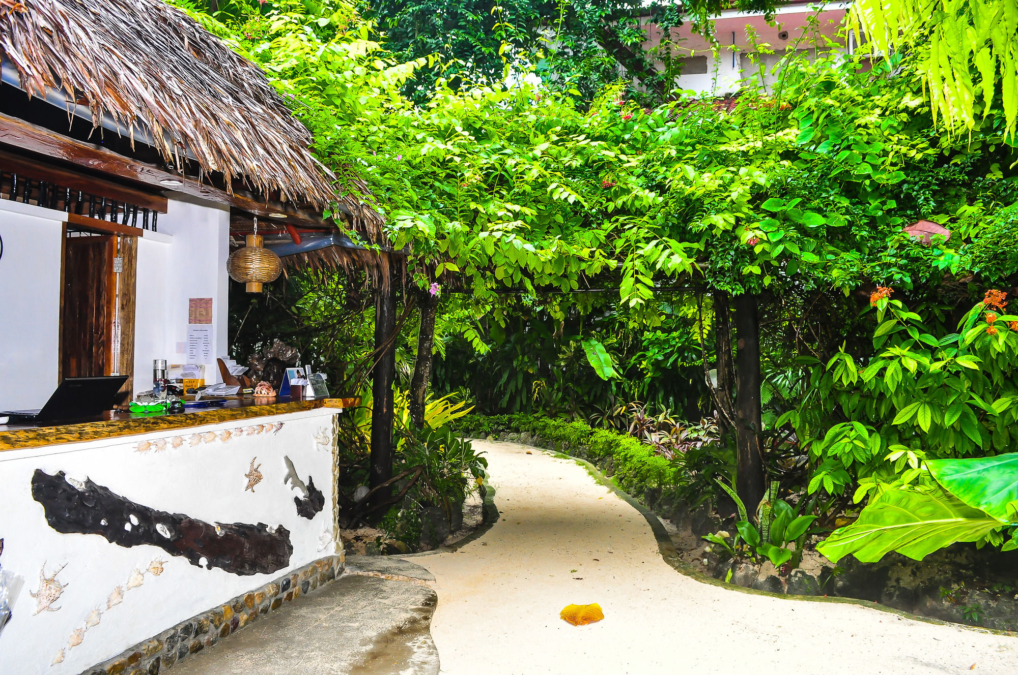 Cocoloco Boracay Beach Resort