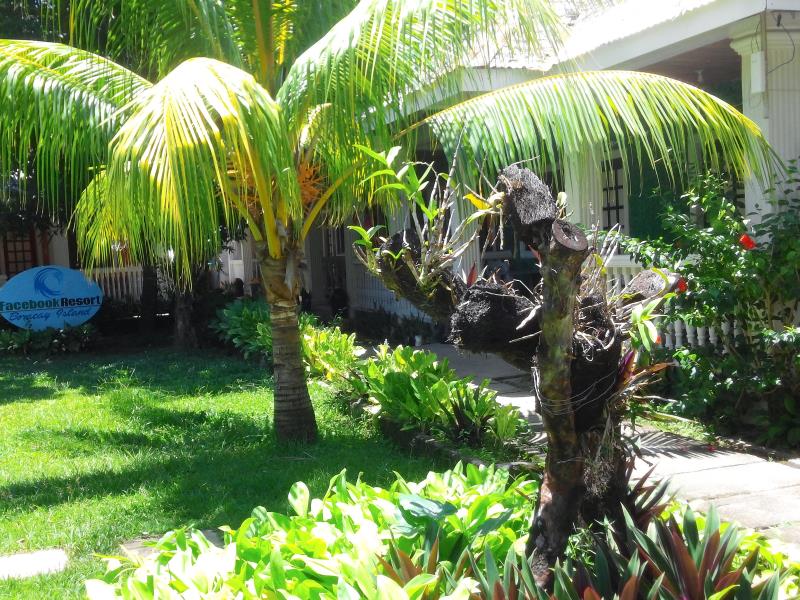 Roligon Resort
