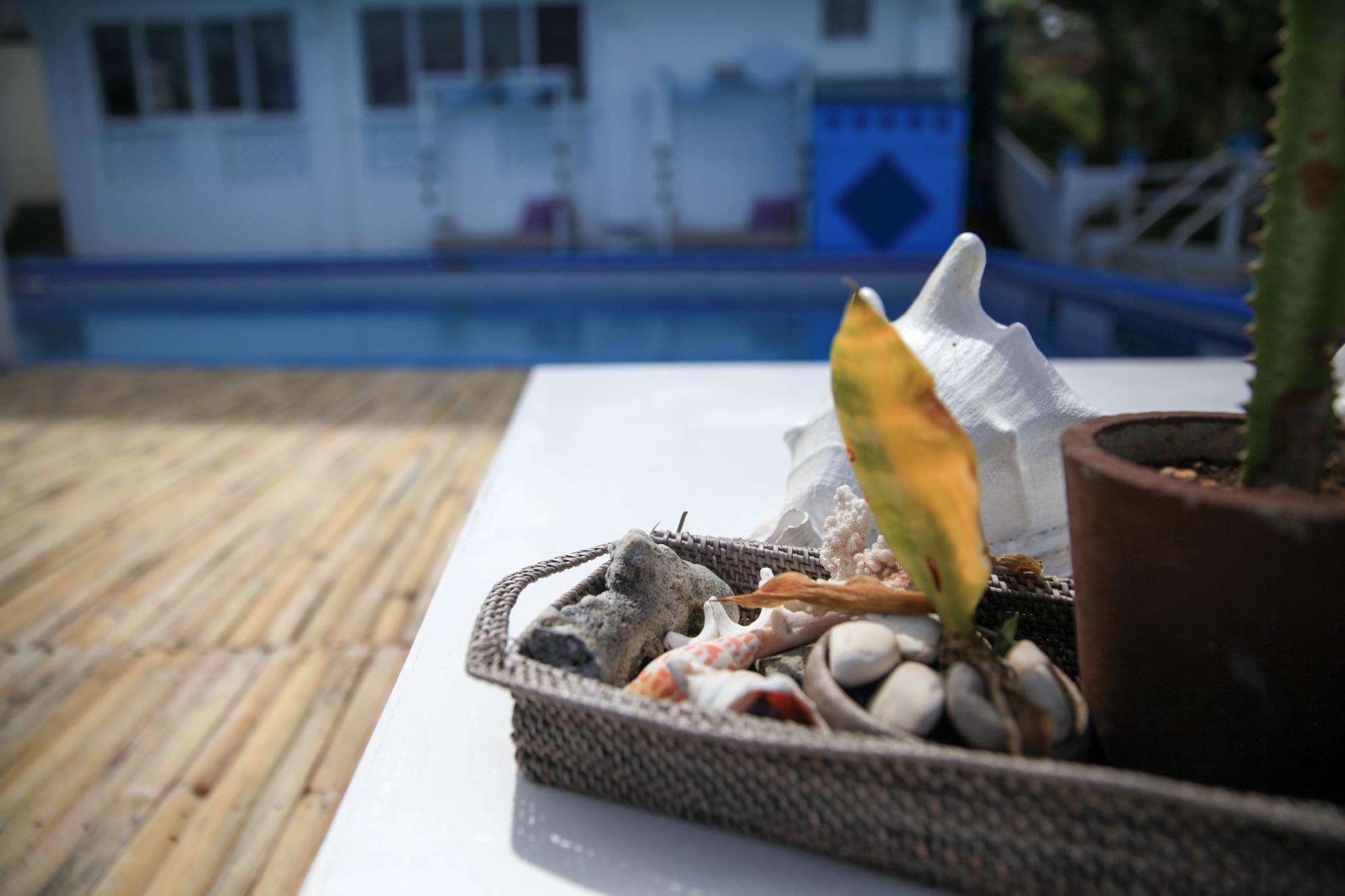 East Ocean Adventure Suites