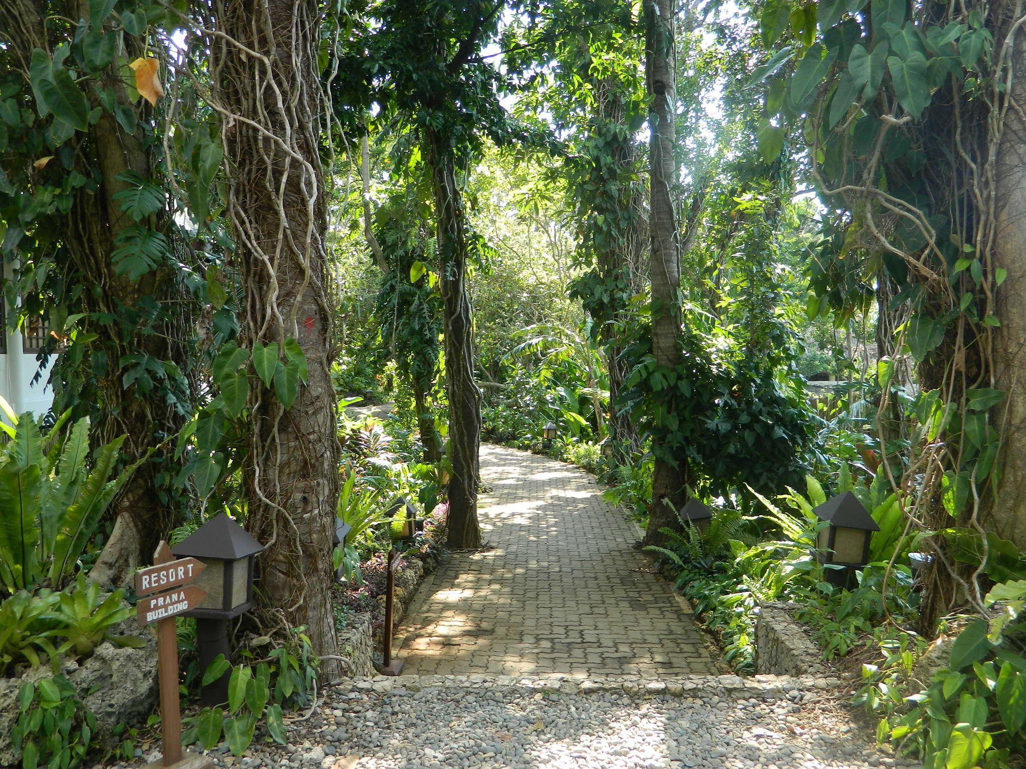 Mandala Spa & Villas
