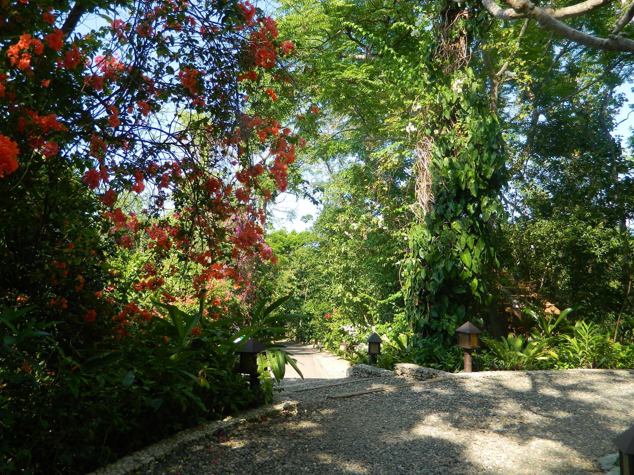 Mandala Spa & Villas