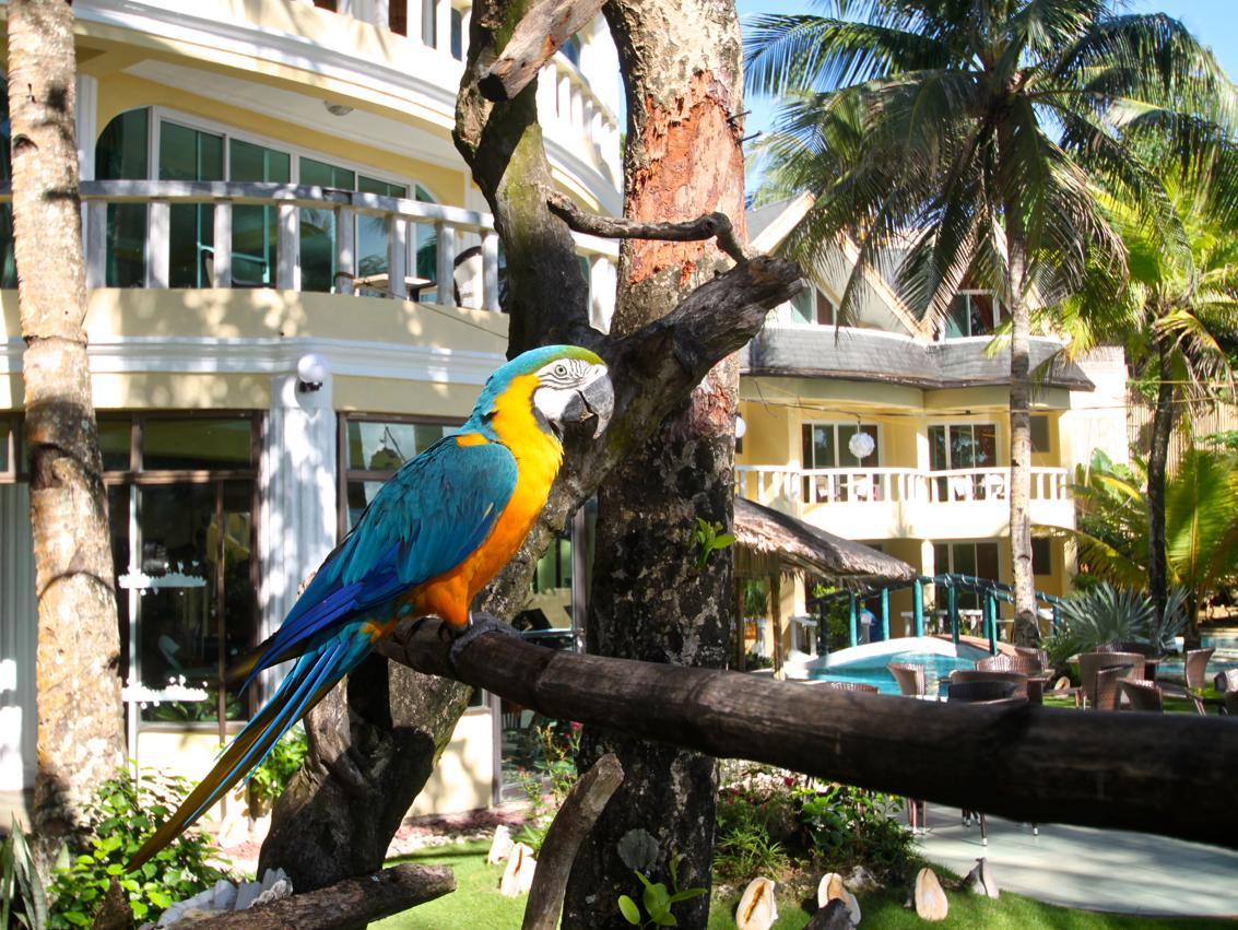 Paradise Bay