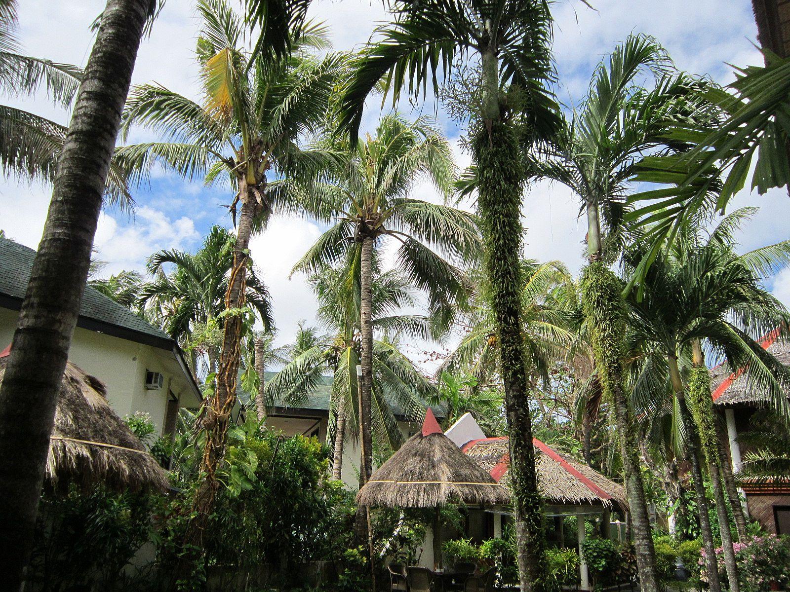 Tonglen Beach Resort