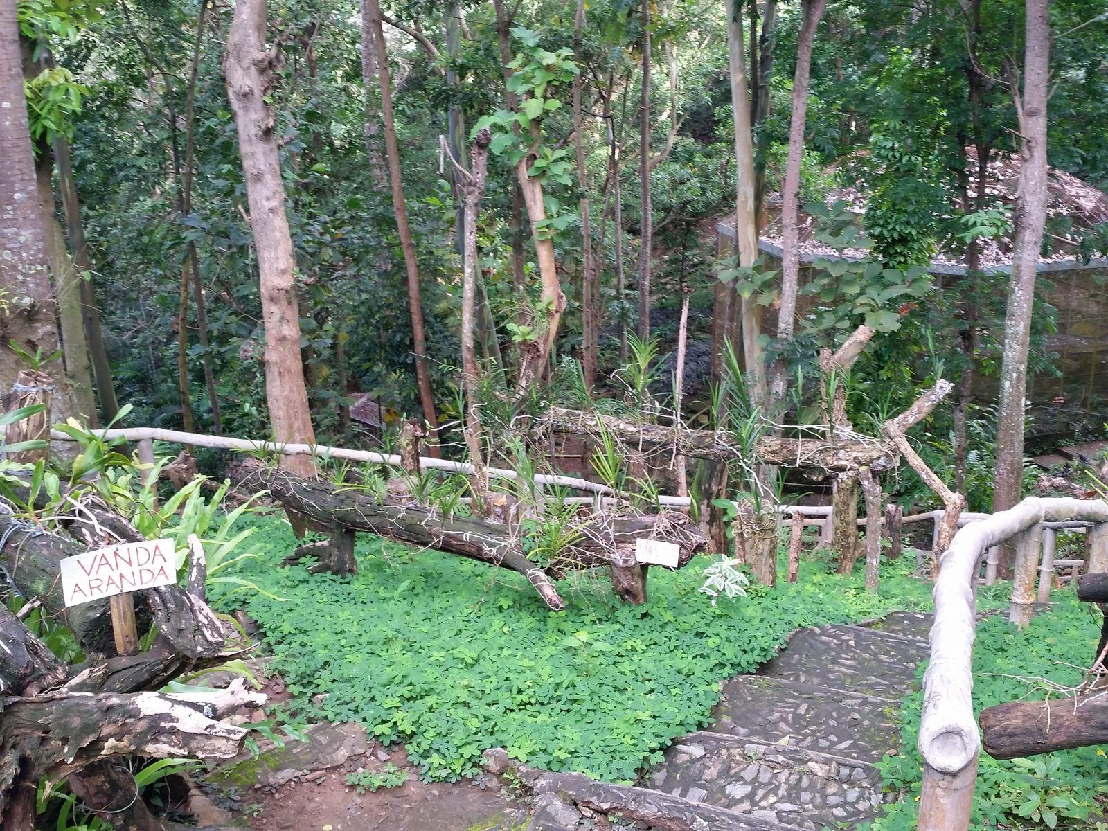 Gardens Of Malasag Eco Tourism Village