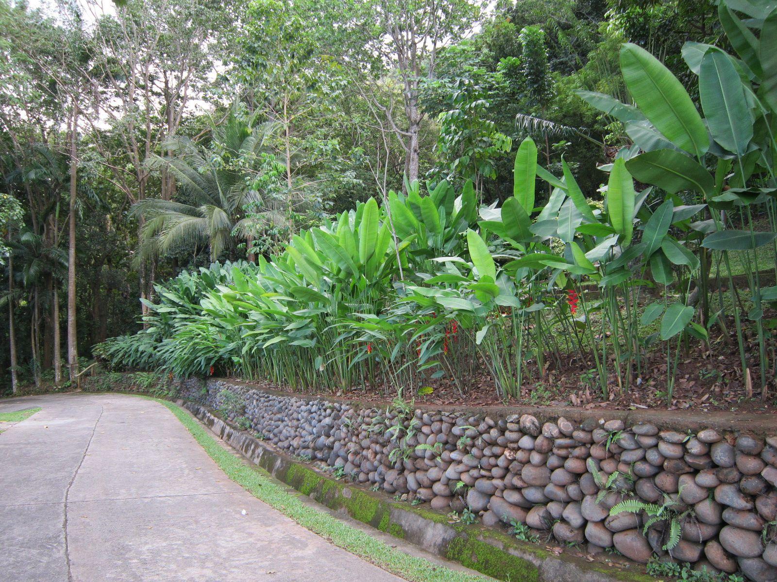 Gardens Of Malasag Eco Tourism Village