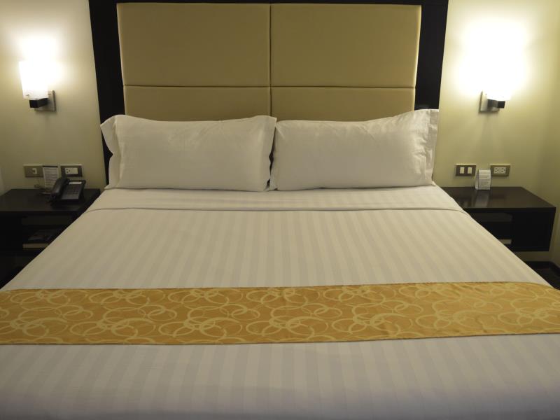 Mallberry Suites Business Hotel