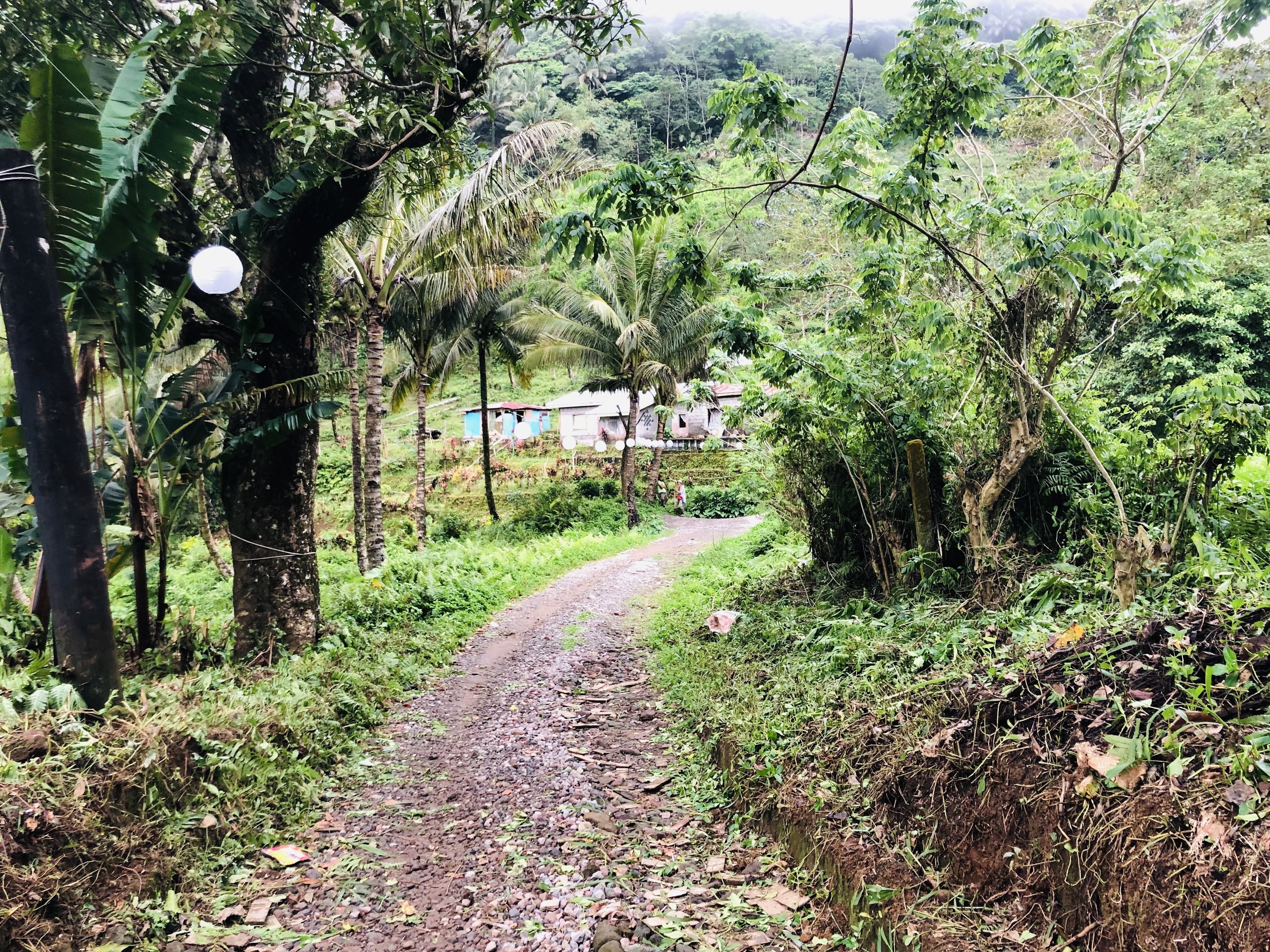 Bintana Sa Paraiso Binunsaran