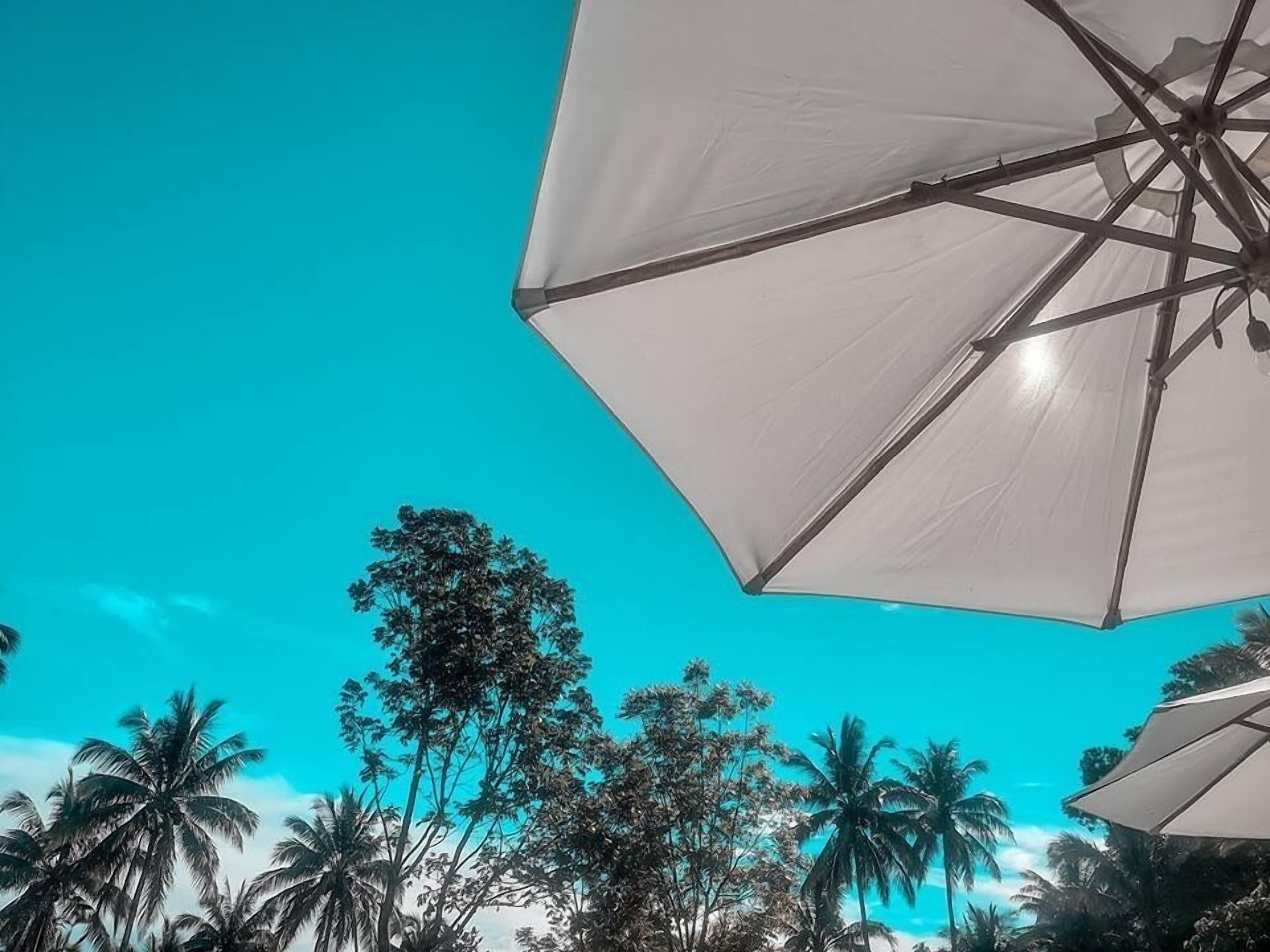 Bintana Sa Paraiso Binunsaran