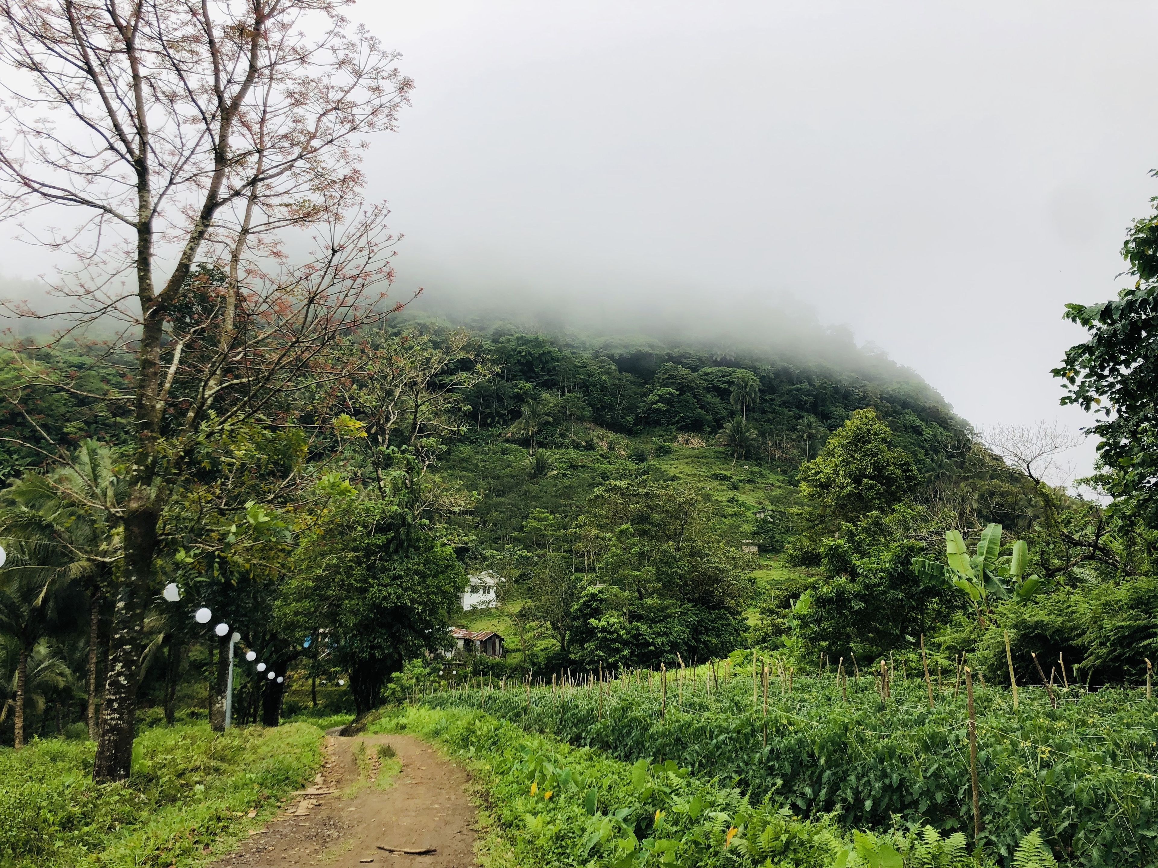 Bintana Sa Paraiso Binunsaran