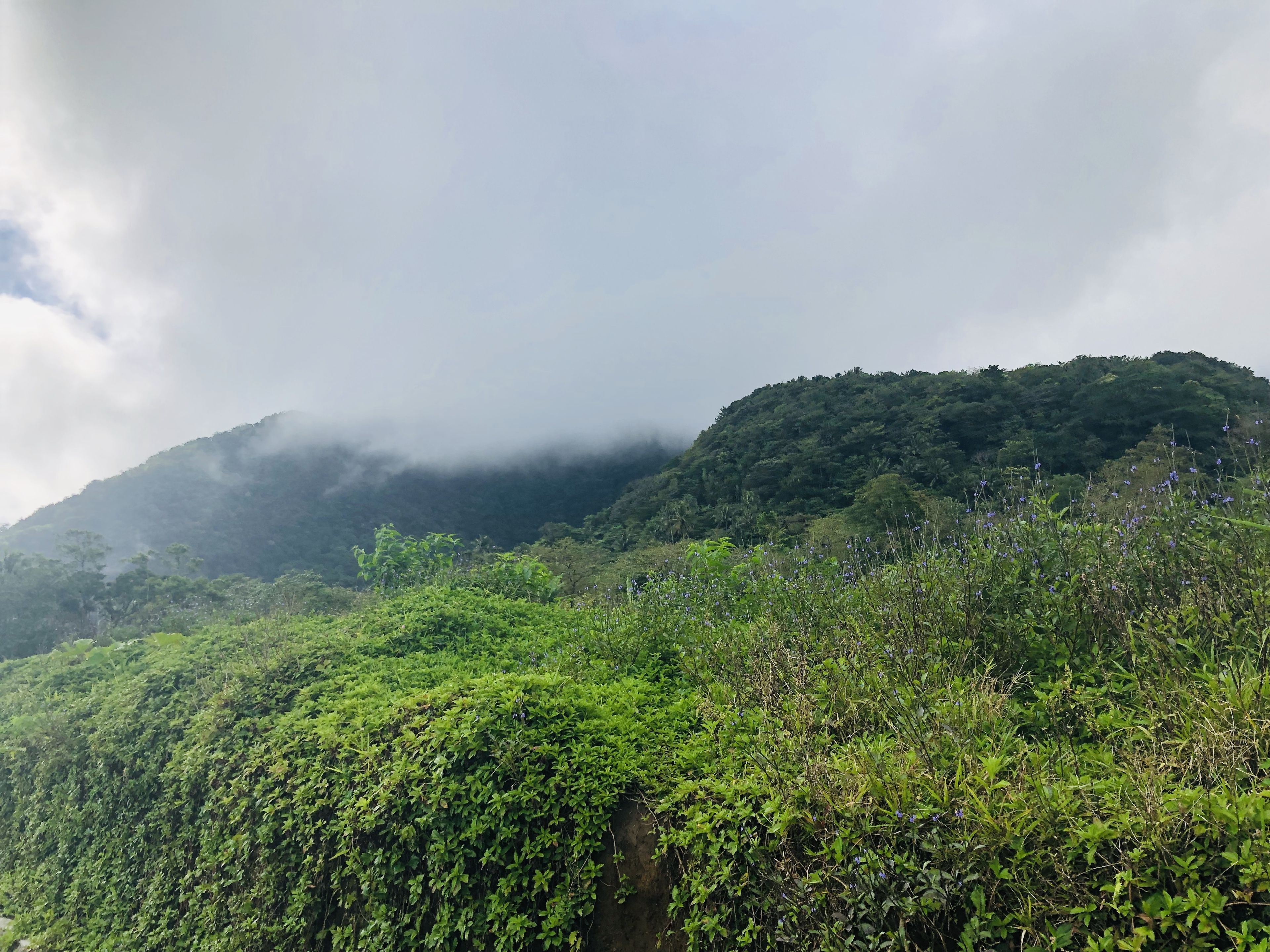 Bintana Sa Paraiso Binunsaran