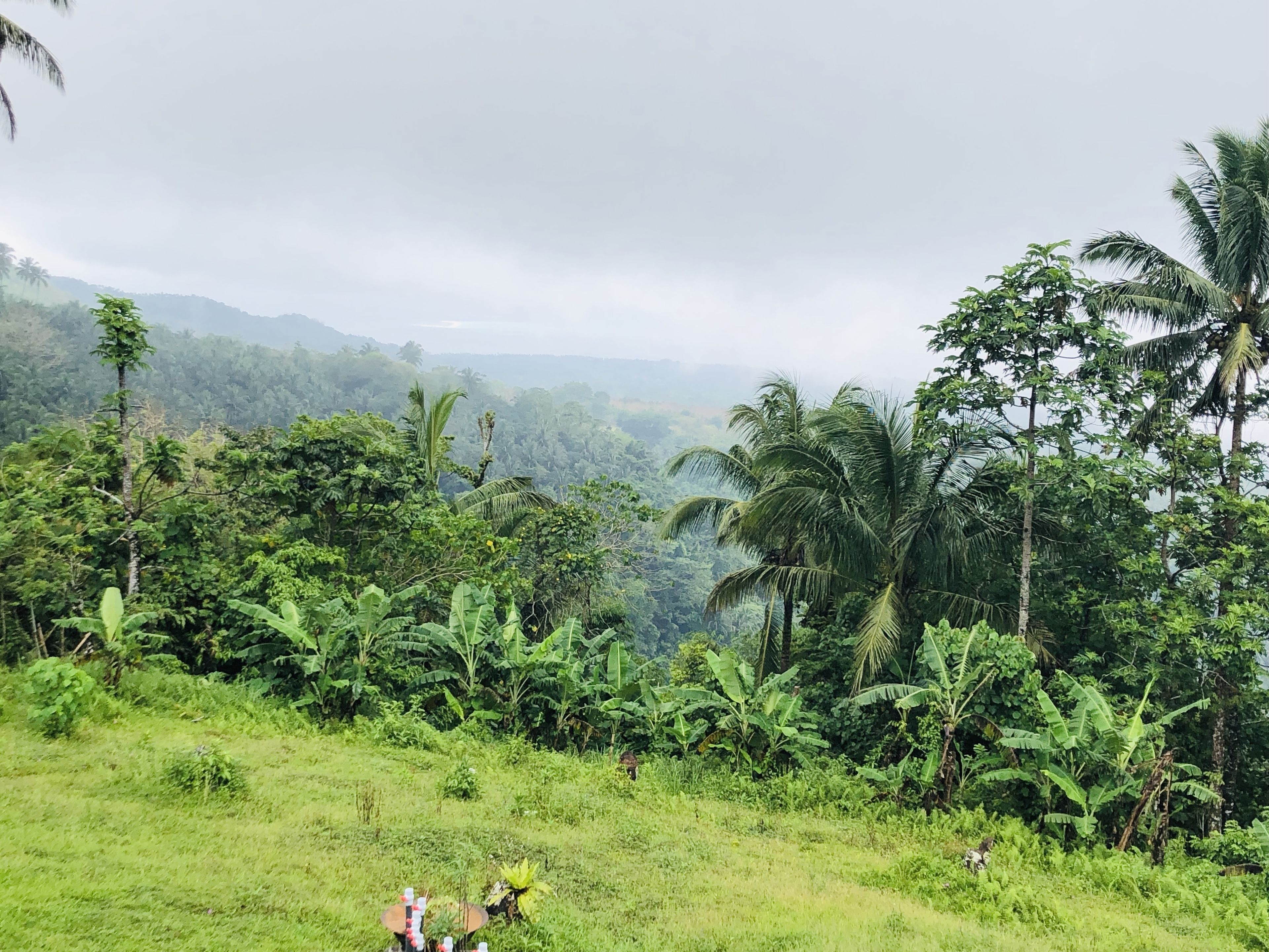 Bintana Sa Paraiso Binunsaran