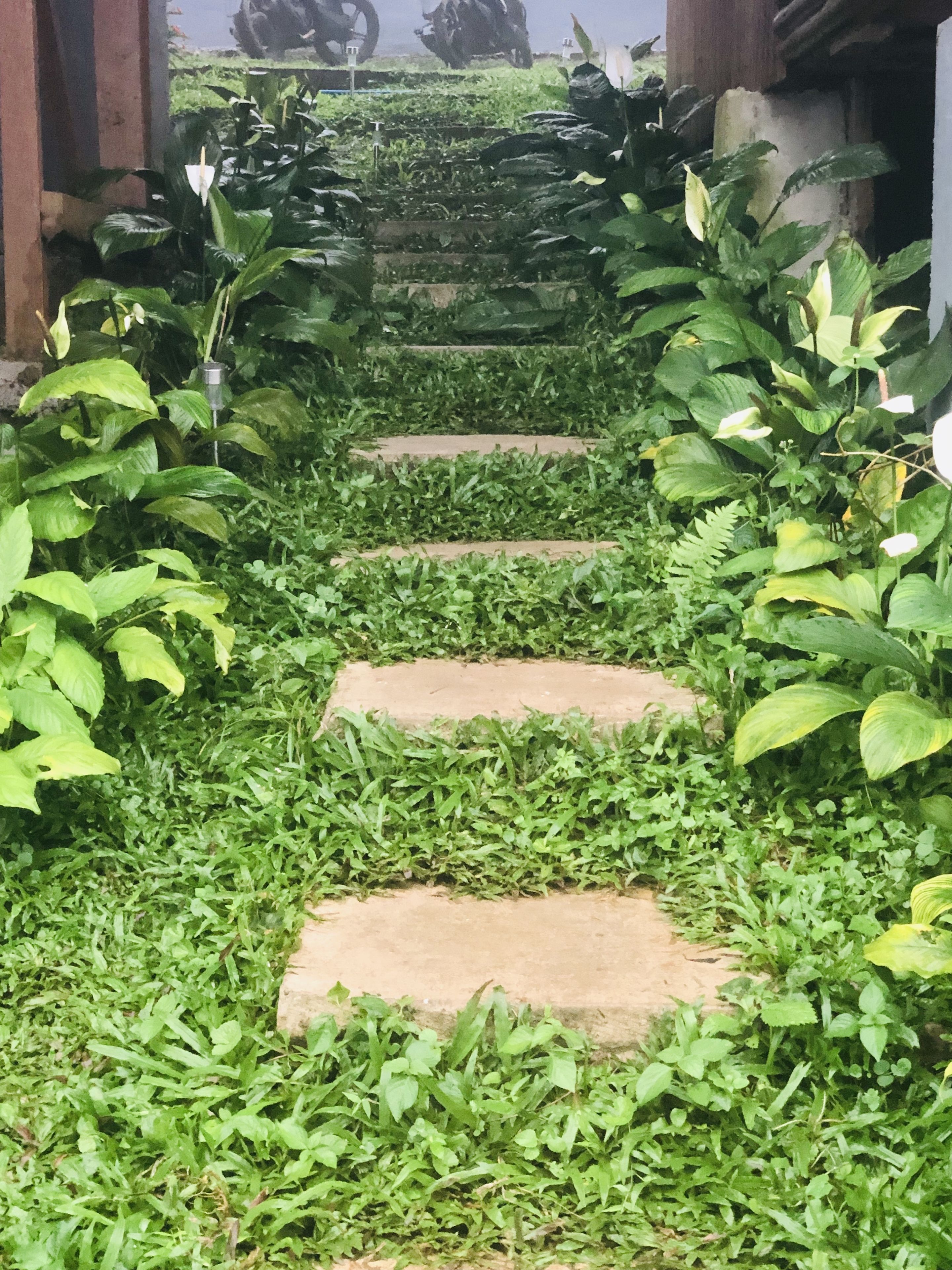 Bintana Sa Paraiso Binunsaran