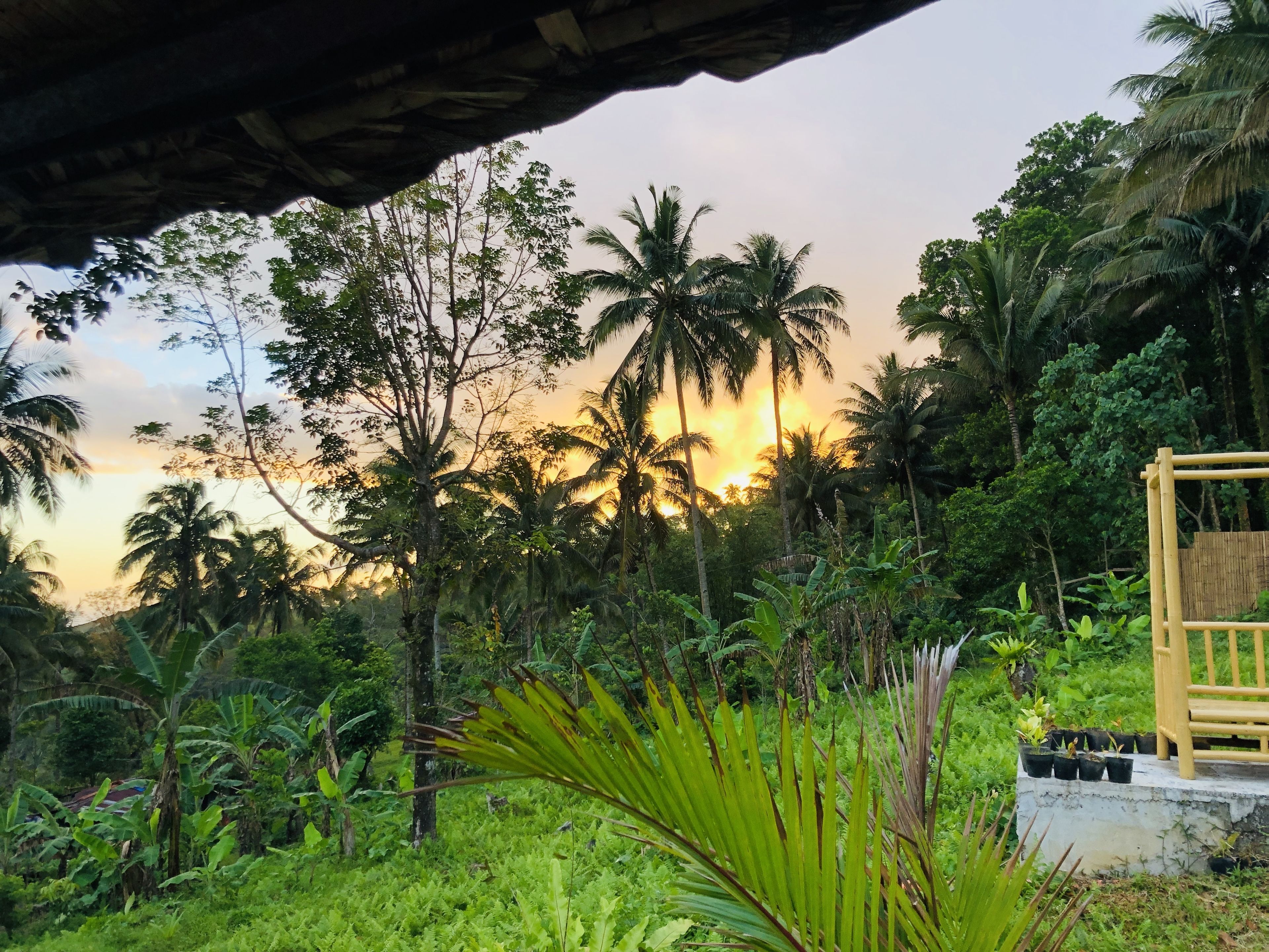 Bintana Sa Paraiso Binunsaran