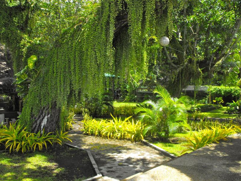 Camiguin Island Golden Sunset Beach Club