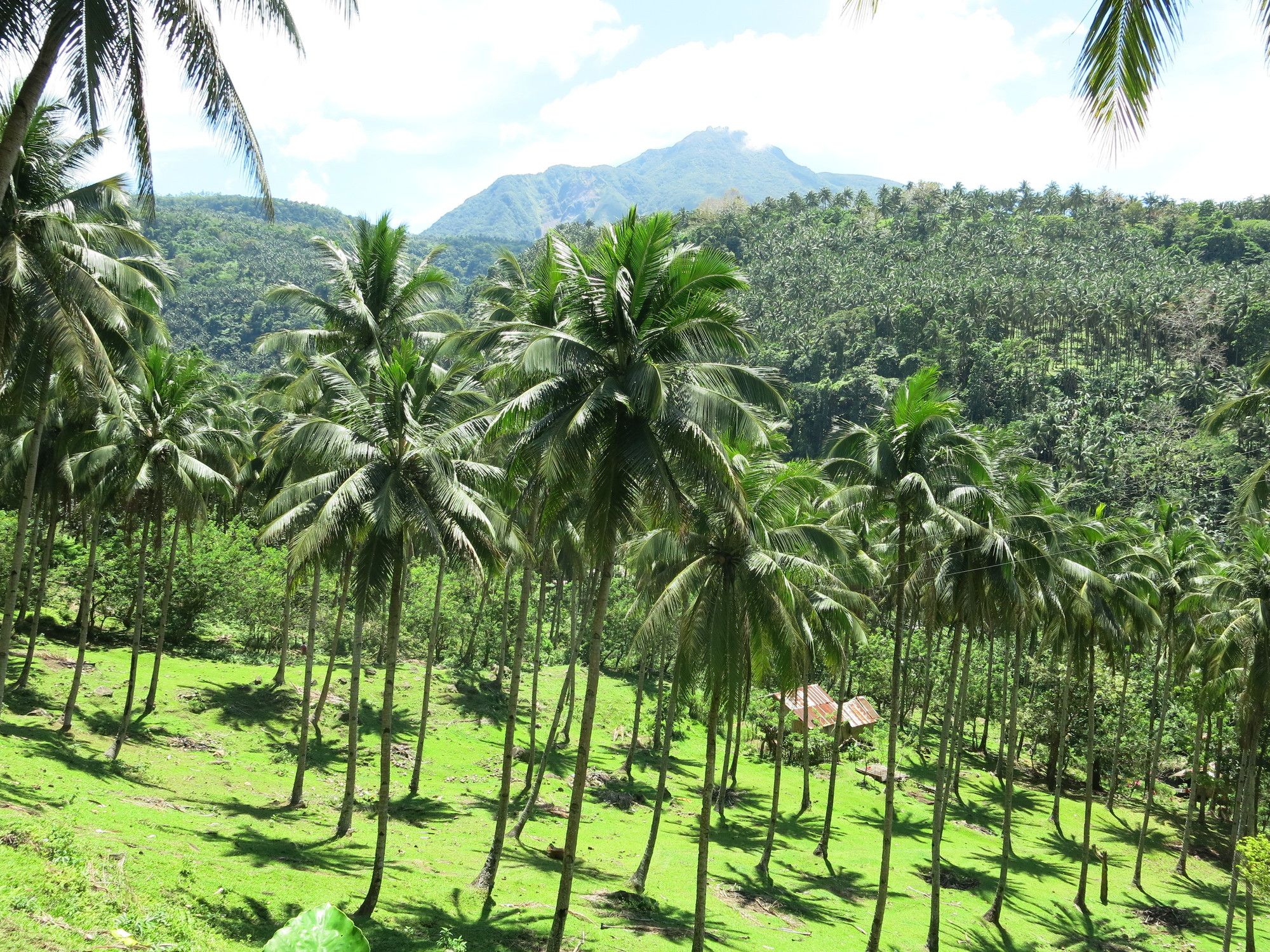 Camiguin Volcan Beach Eco Retreat & Dive Resort