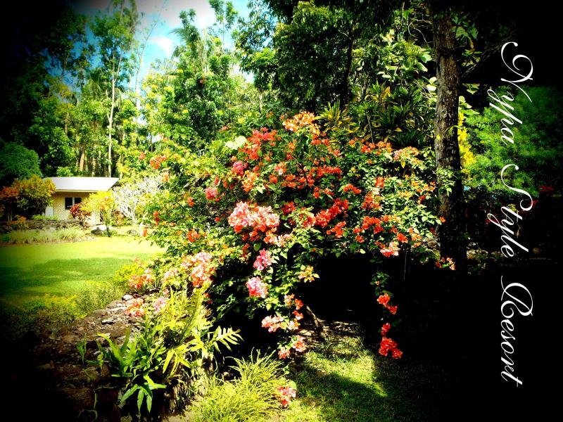Nypa Style Resort Camiguin