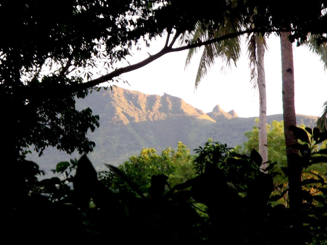 Nypa Style Resort Camiguin