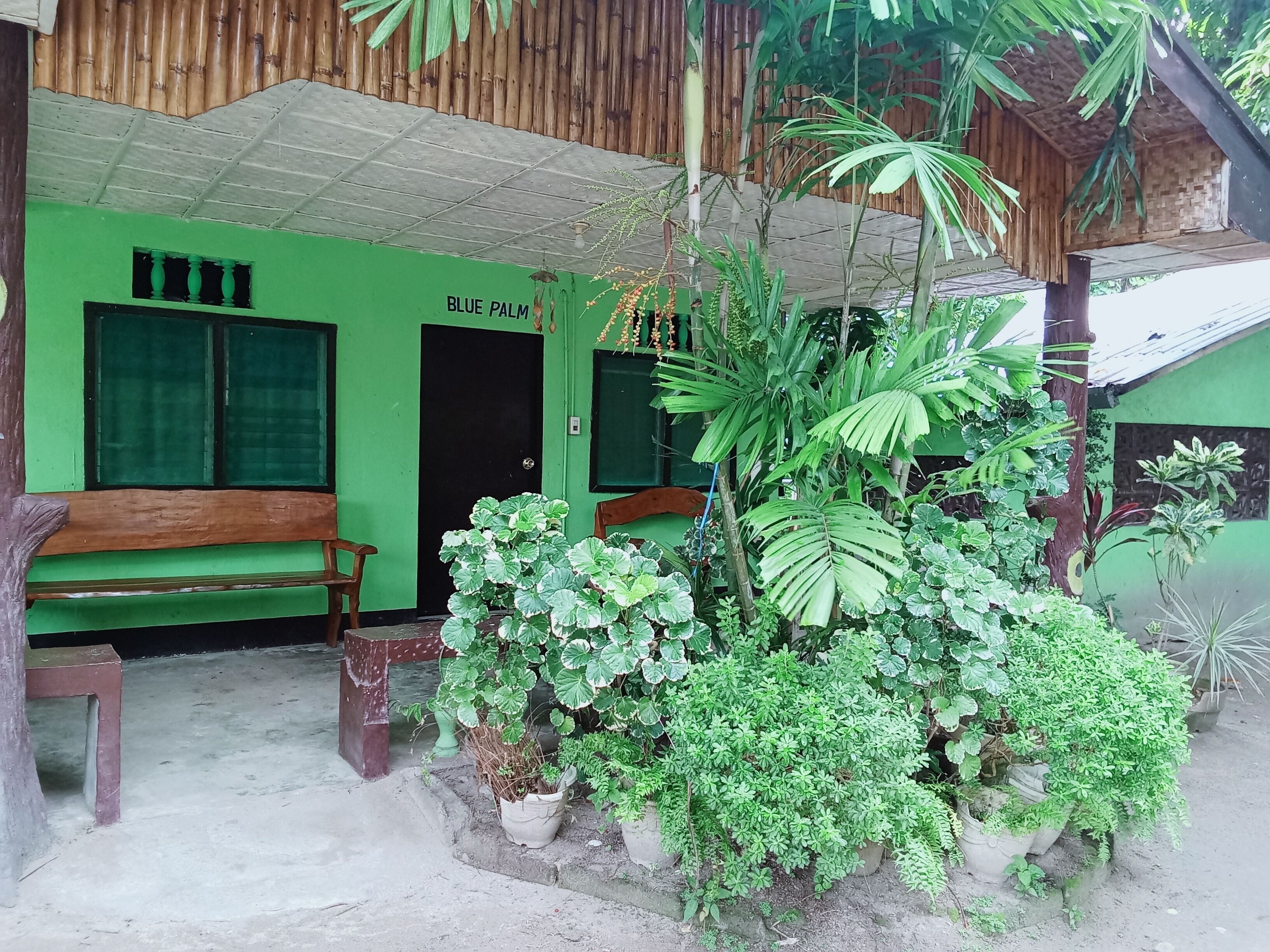 Palm Garden Resort
