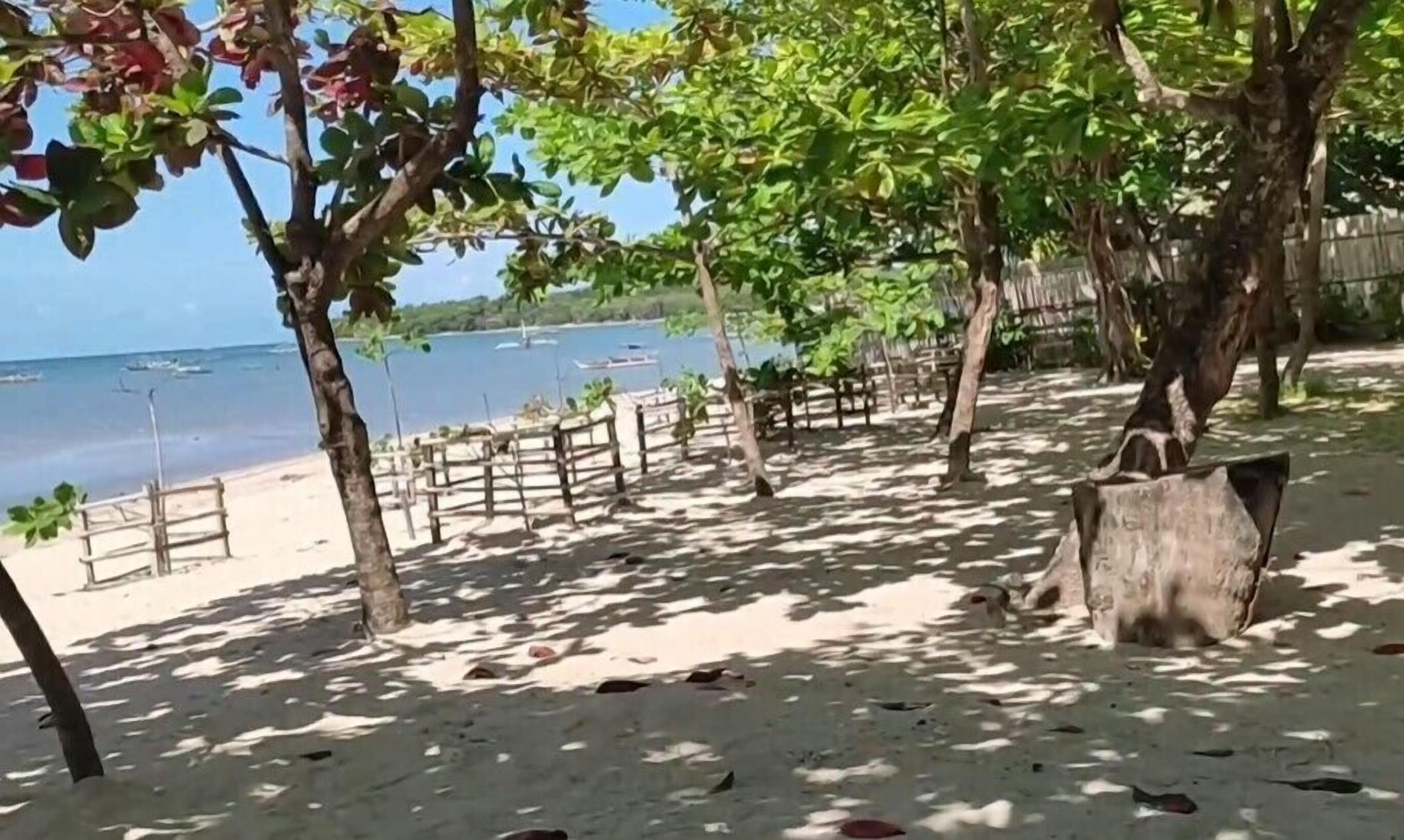 Palm Garden Resort