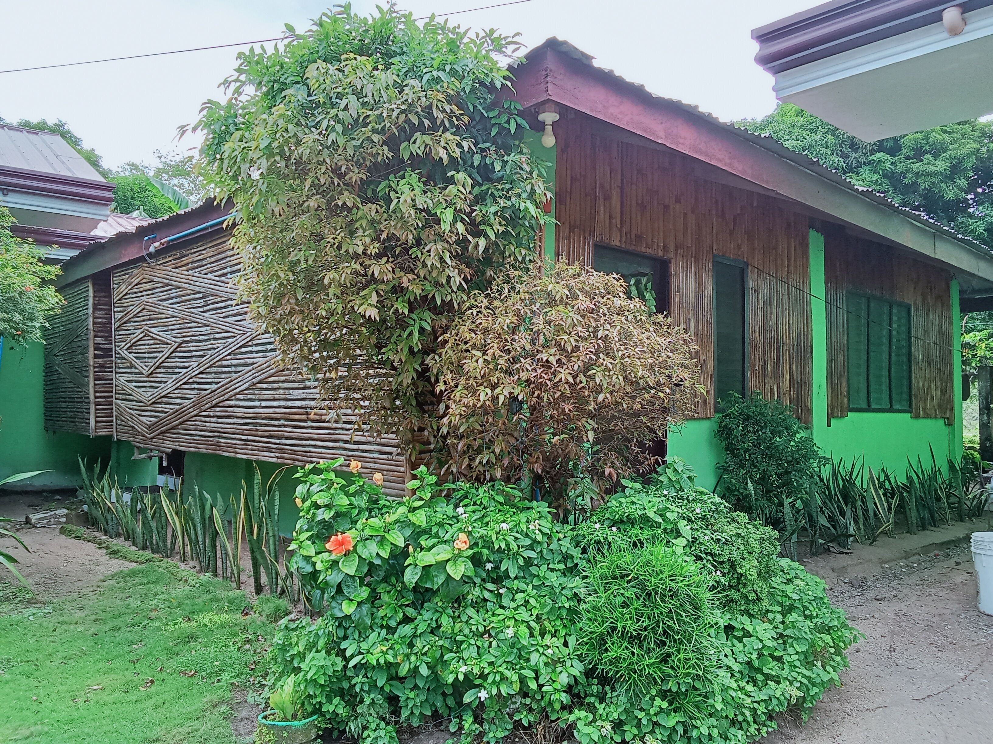 Palm Garden Resort