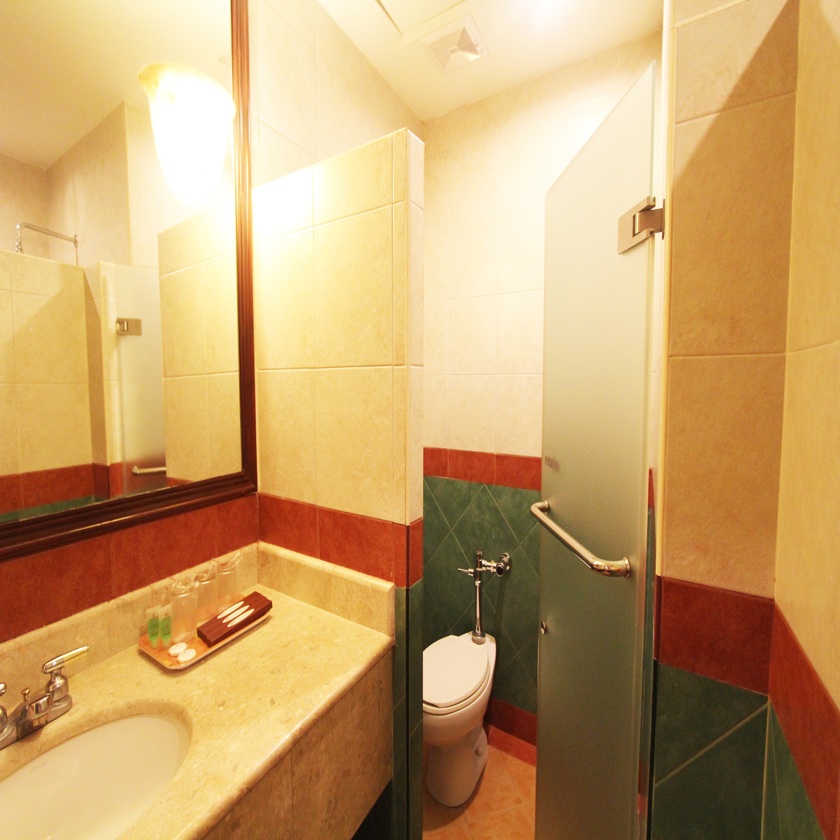Sarrosa International Hotel and Residential Suites