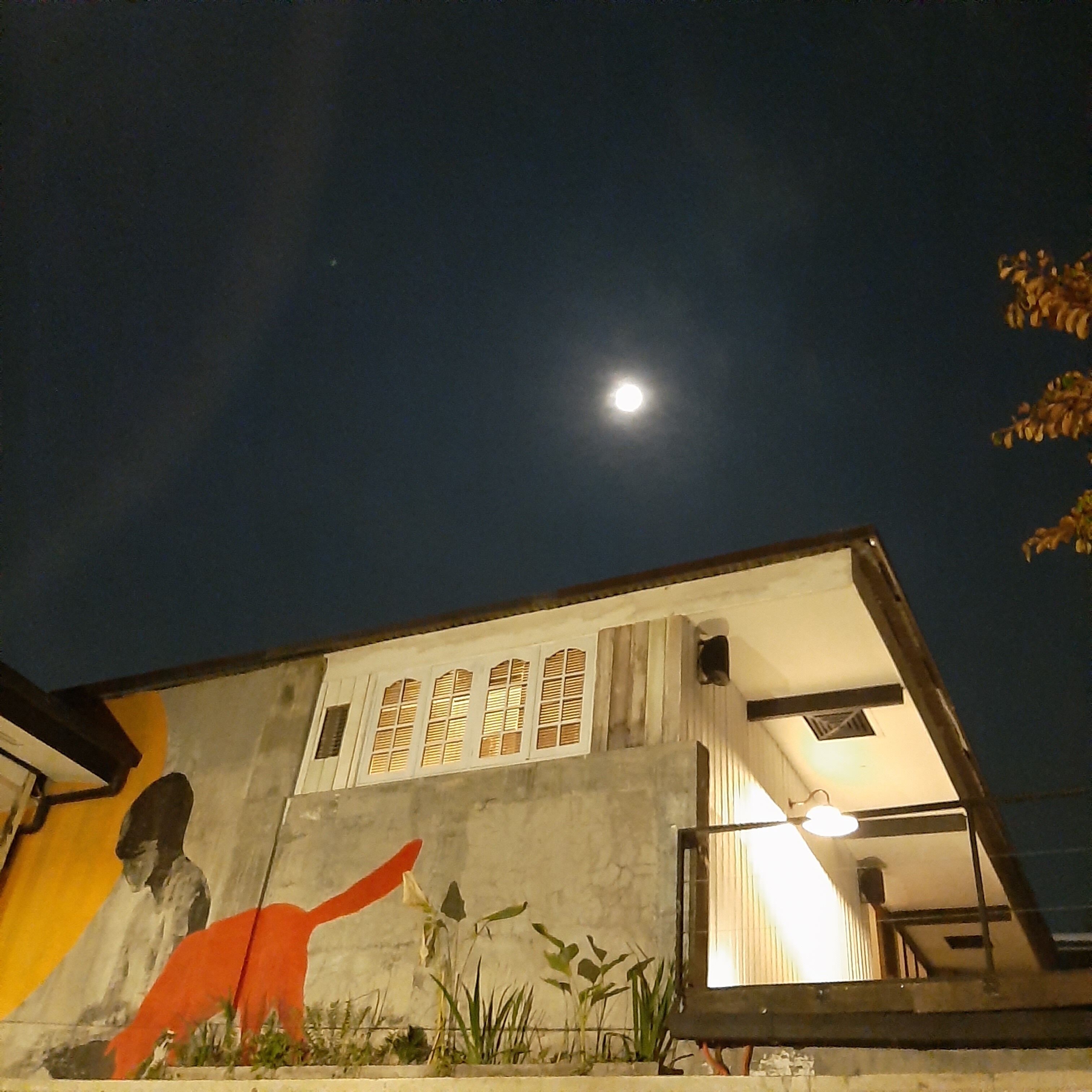 The Flying Fish Hostel Cebu