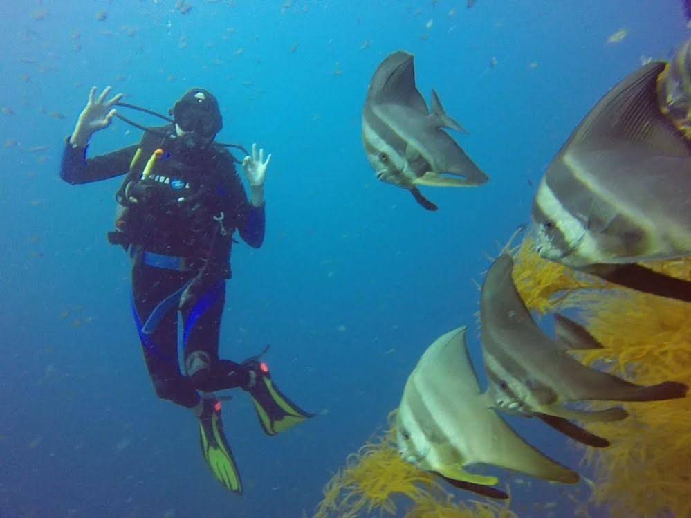 Chindonan Dive Resort
