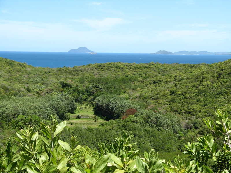 Coral Bay Beach and Dive Resort