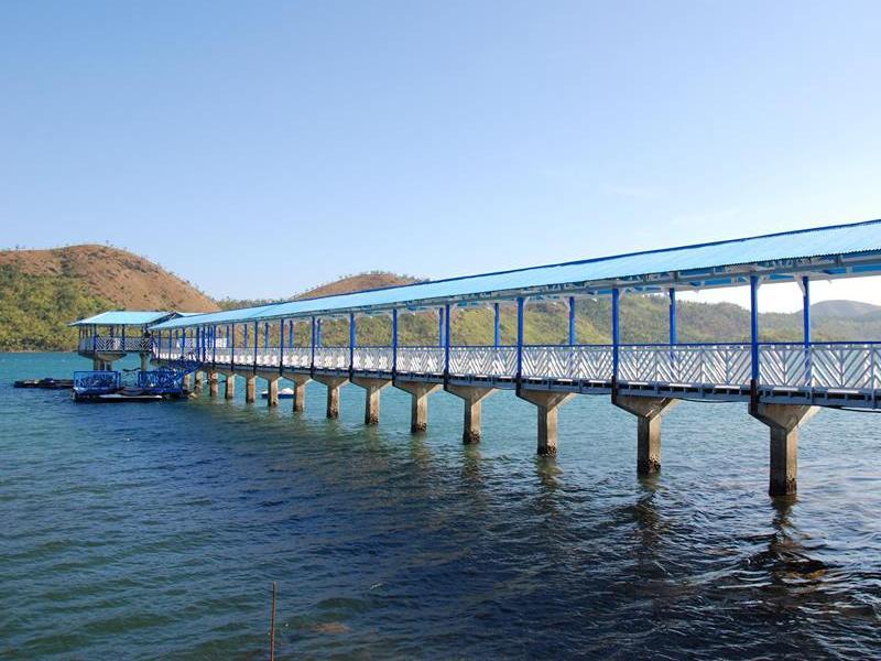 Coron Underwater Garden Resort