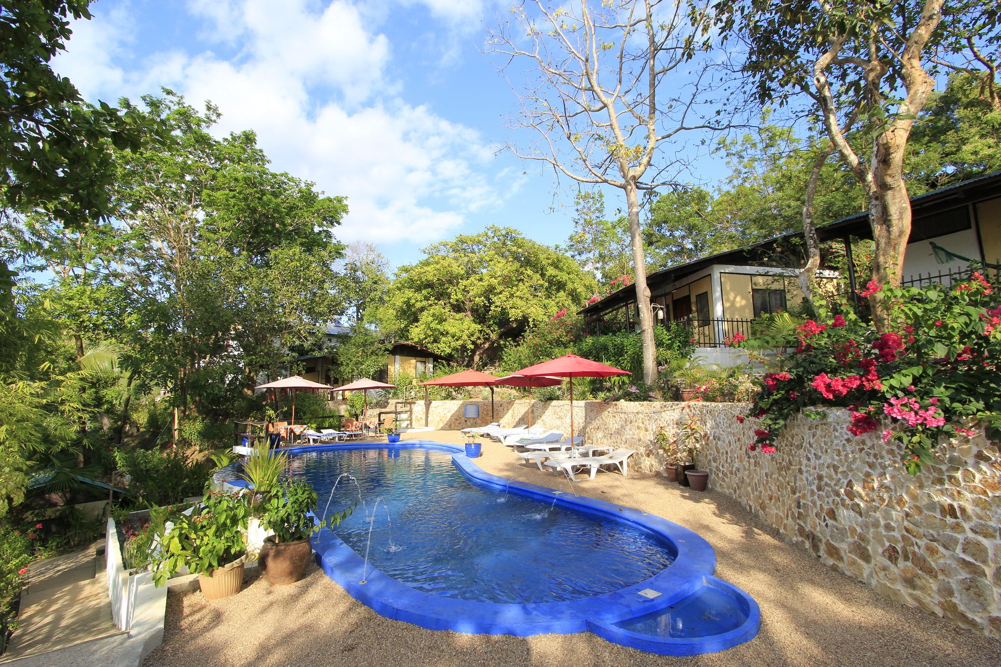 Discovery Island Resort and Dive Center