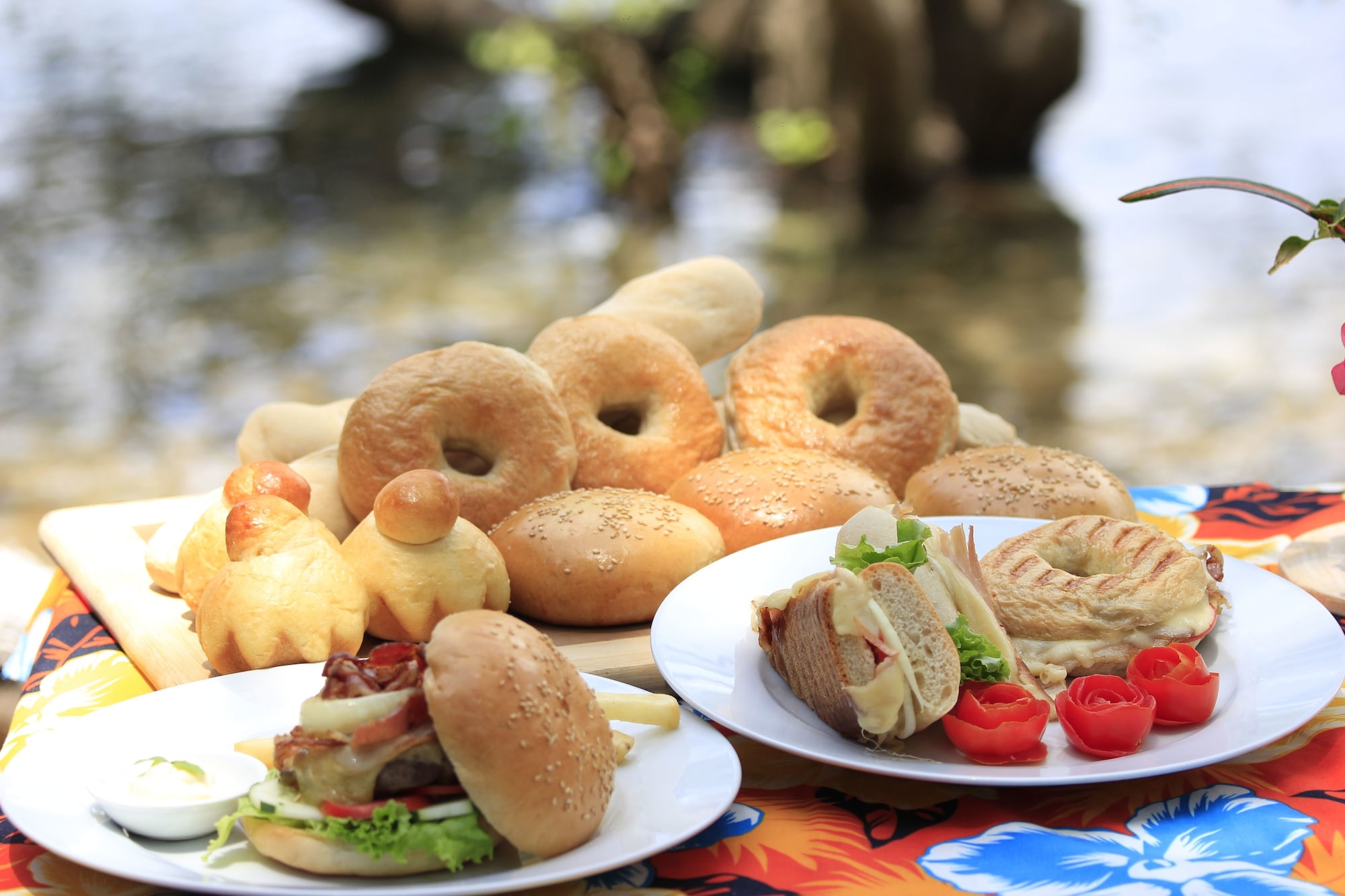 Discovery Island Resort and Dive Center