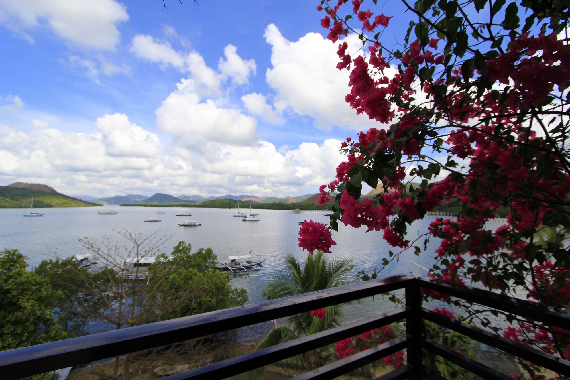 Discovery Island Resort and Dive Center
