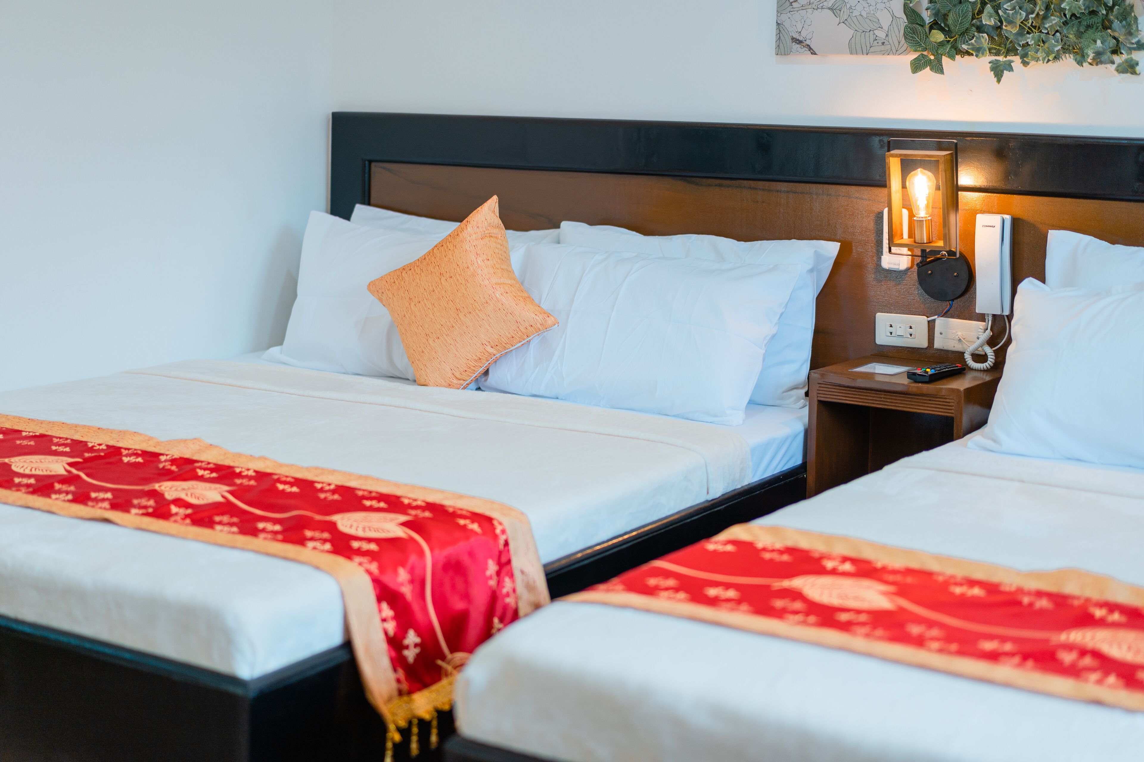 Island Wanderers Inn